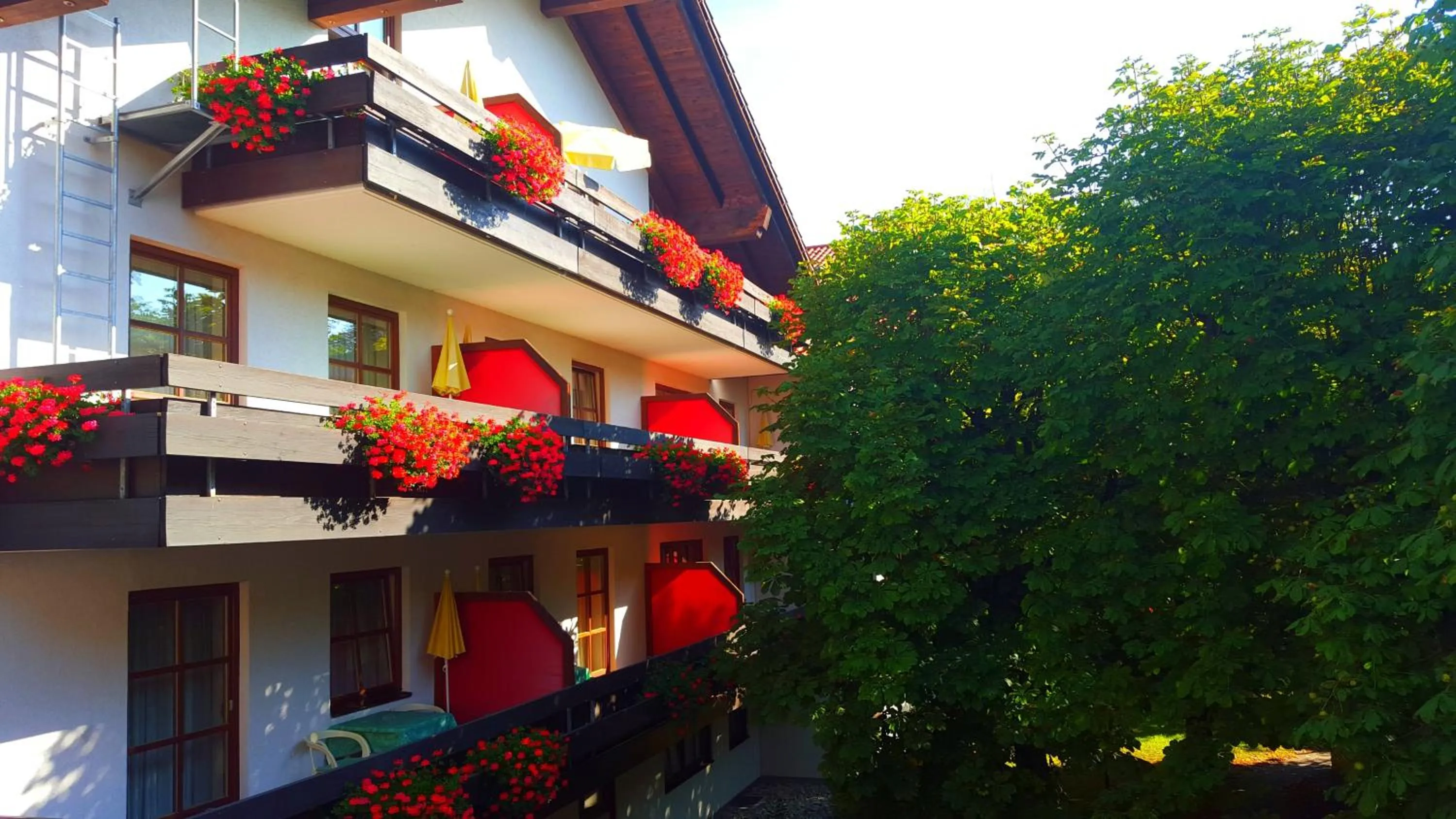 Day in Appartment-Hotel-Hölzl