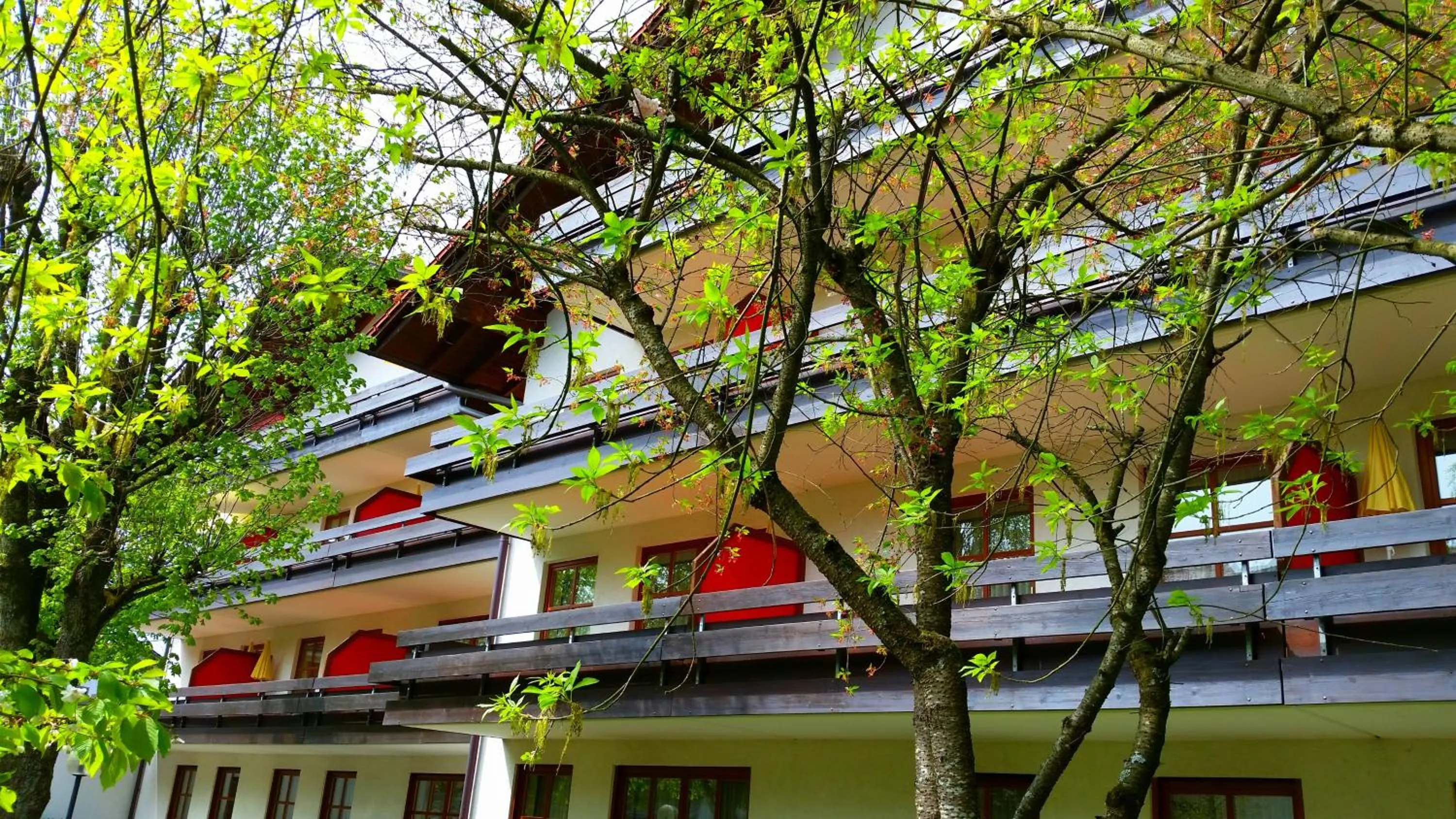 Day in Appartment-Hotel-Hölzl