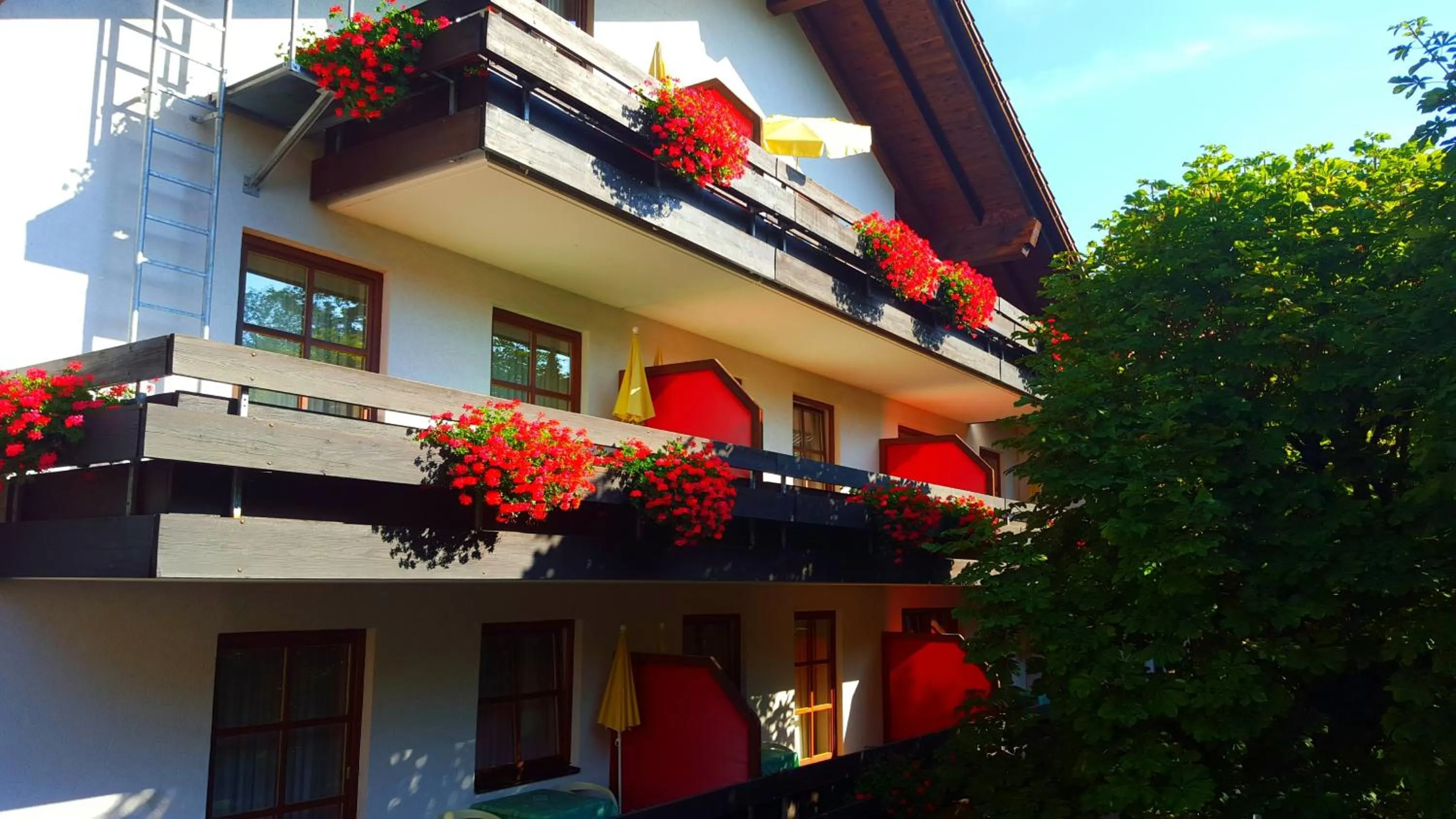 Day in Appartment-Hotel-Hölzl