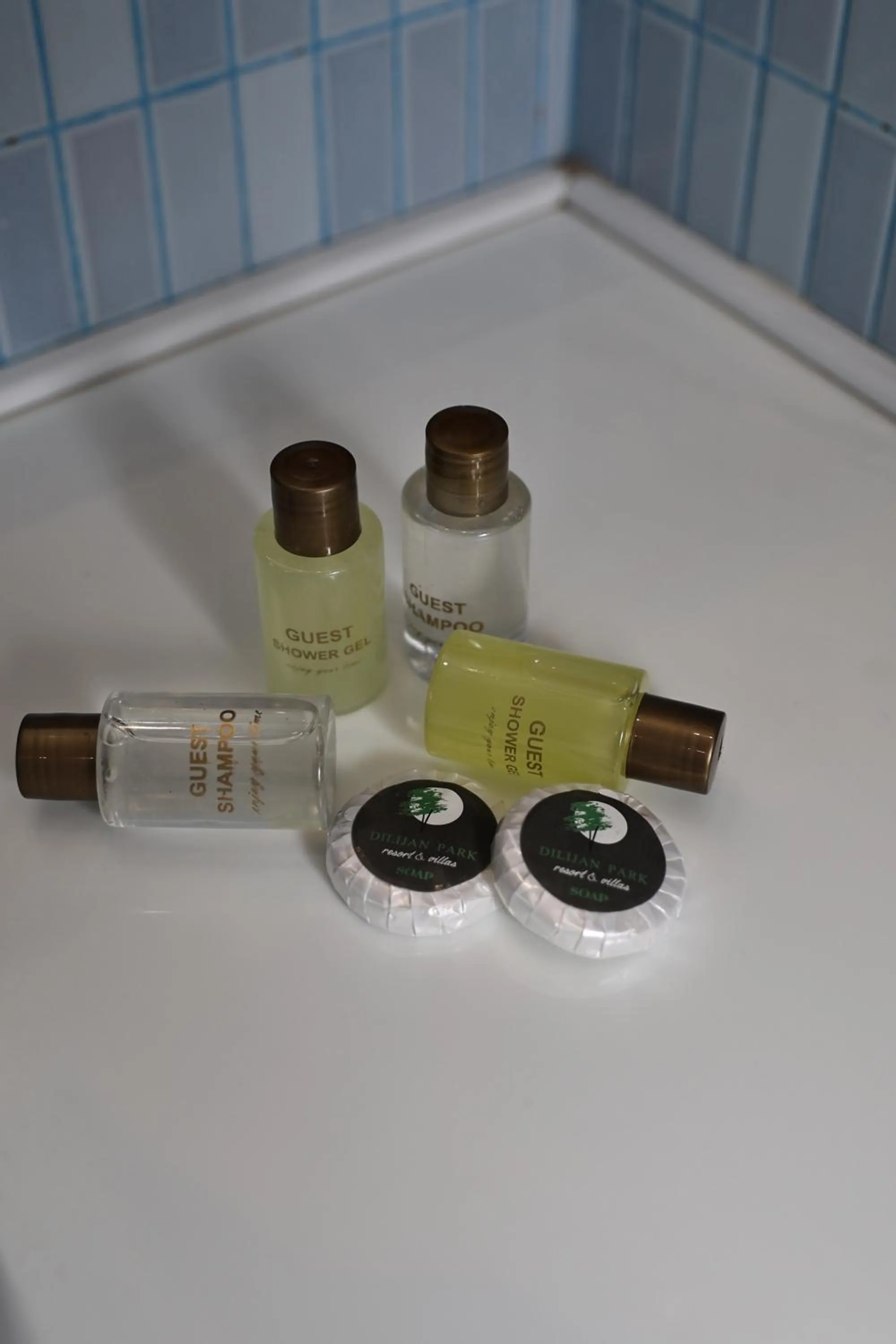 Dilijan Park Resort & Villas