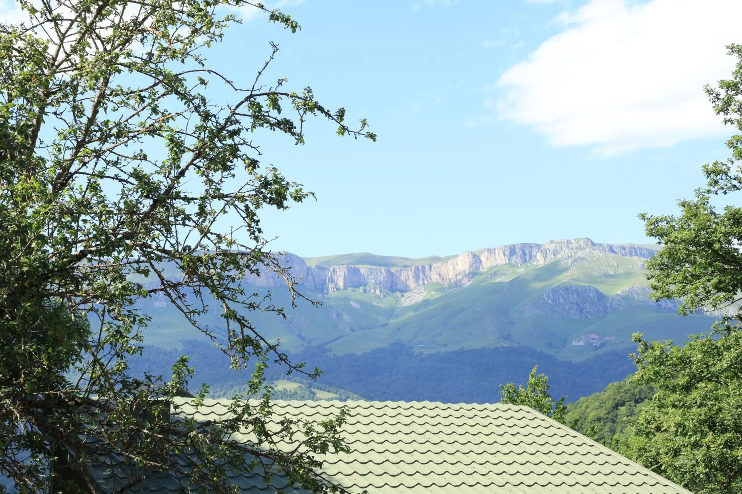 Dilijan Park Resort & Villas