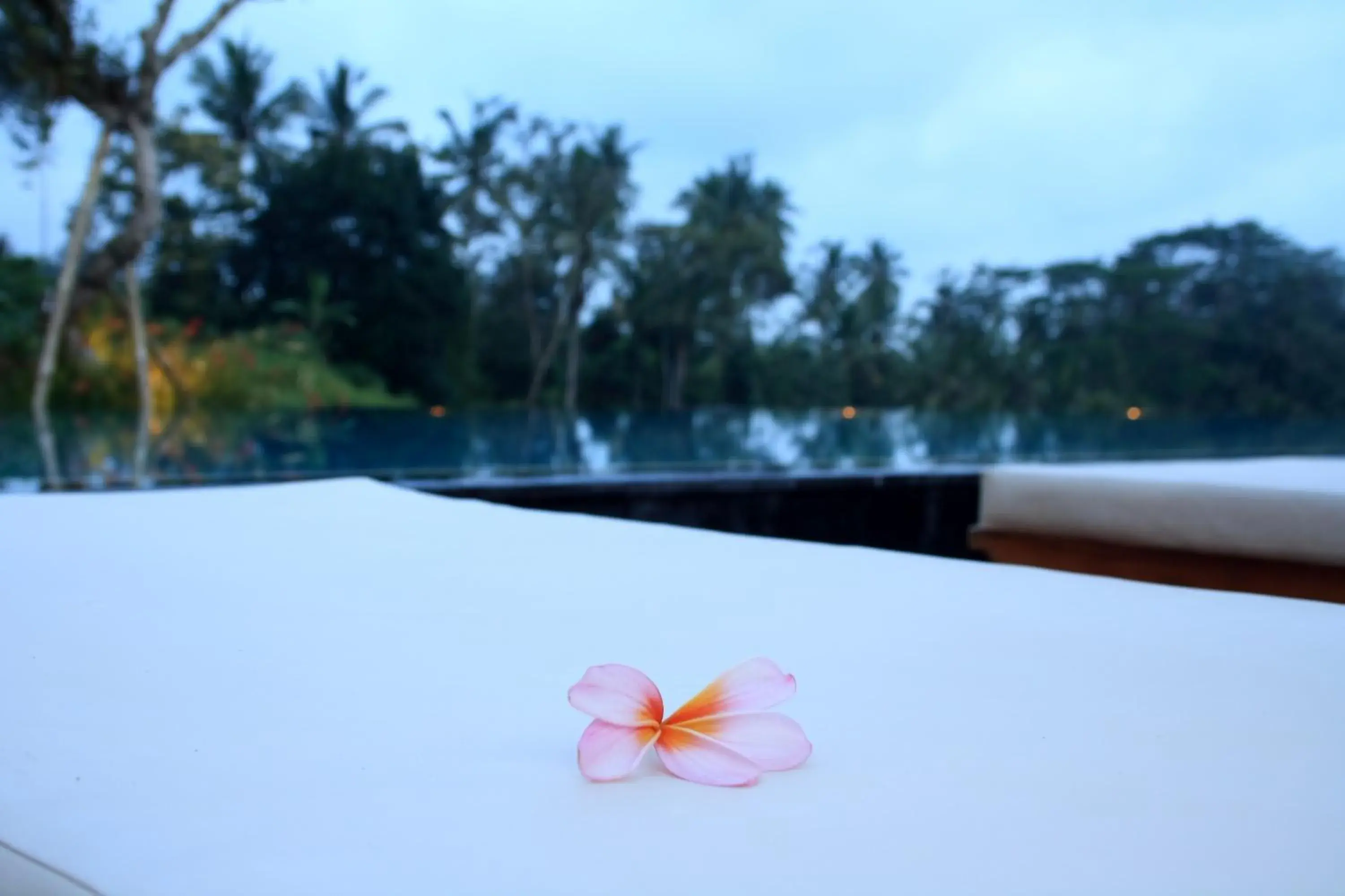 Swimming pool in Amori Villa Hotel