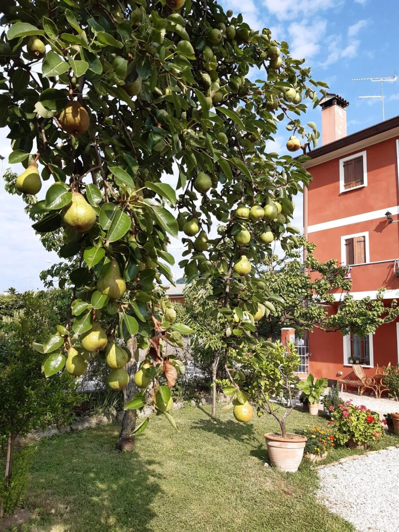 Garden in B&B Casa del Conte