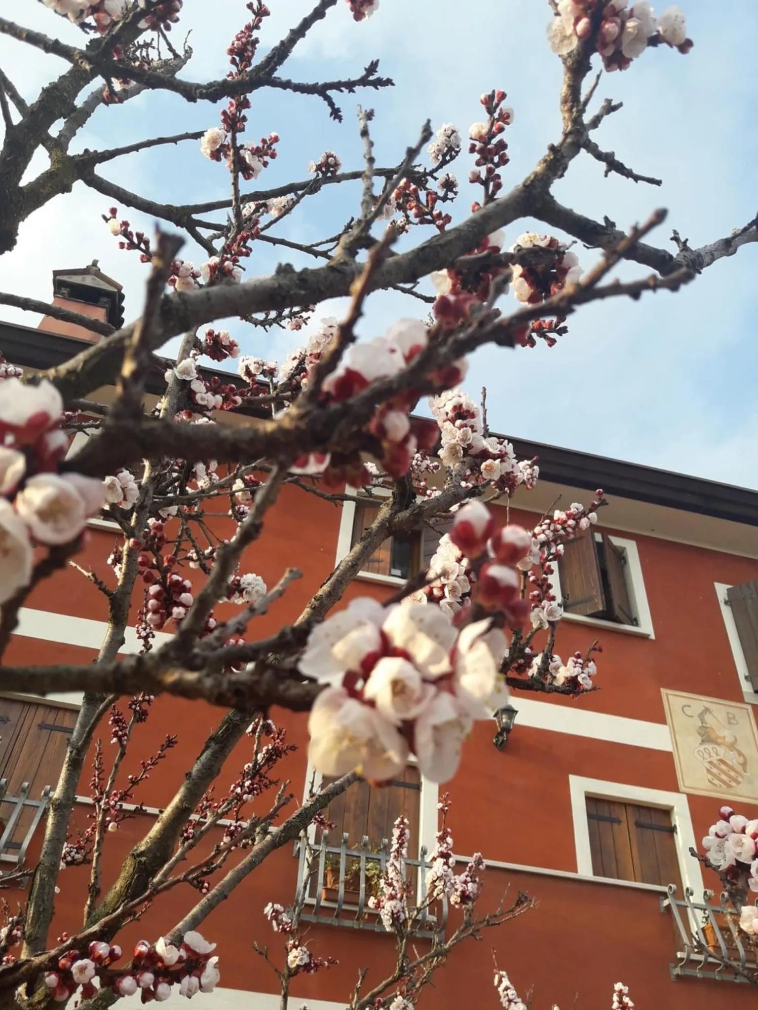 Spring in B&B Casa del Conte