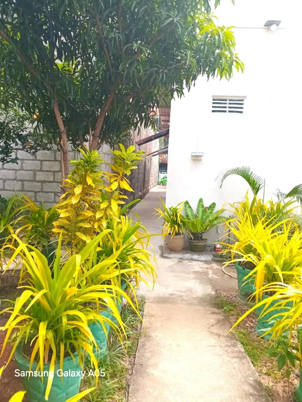 Family Room with Private Bathroom in City Paradise Dambulla