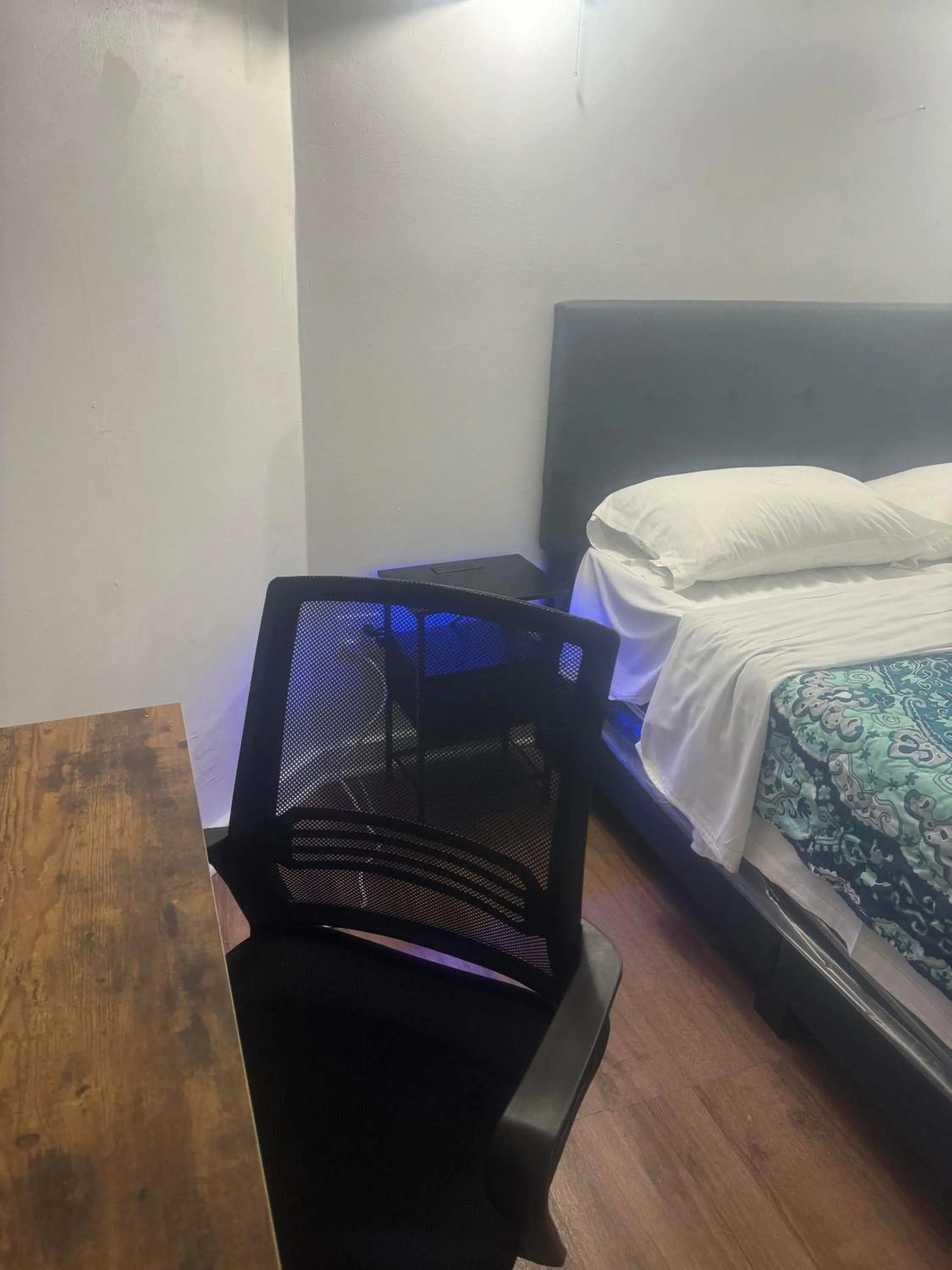 Double Room in Hollywood Rentals LLC
