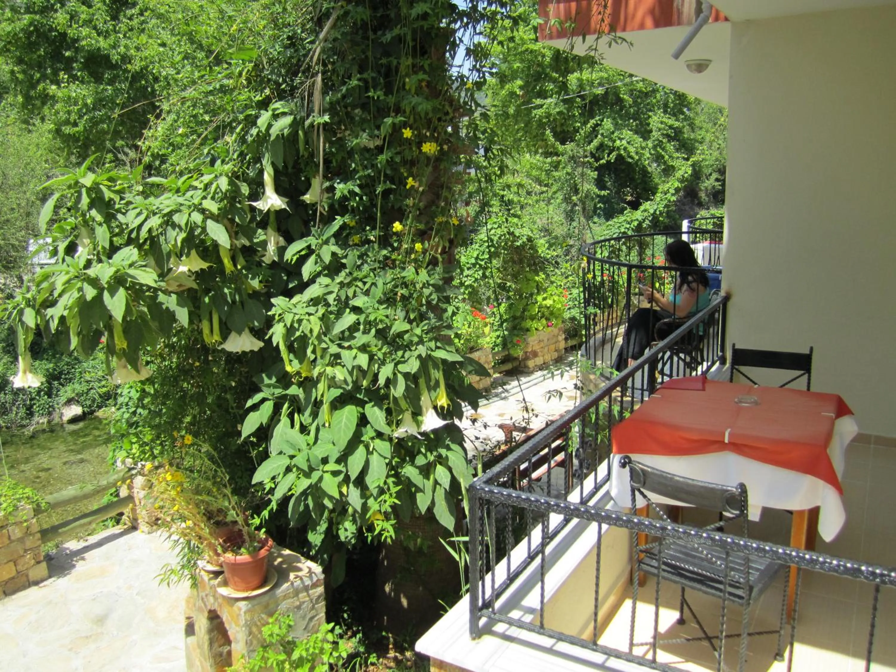 Garden in Arikanda River Garden Hotel