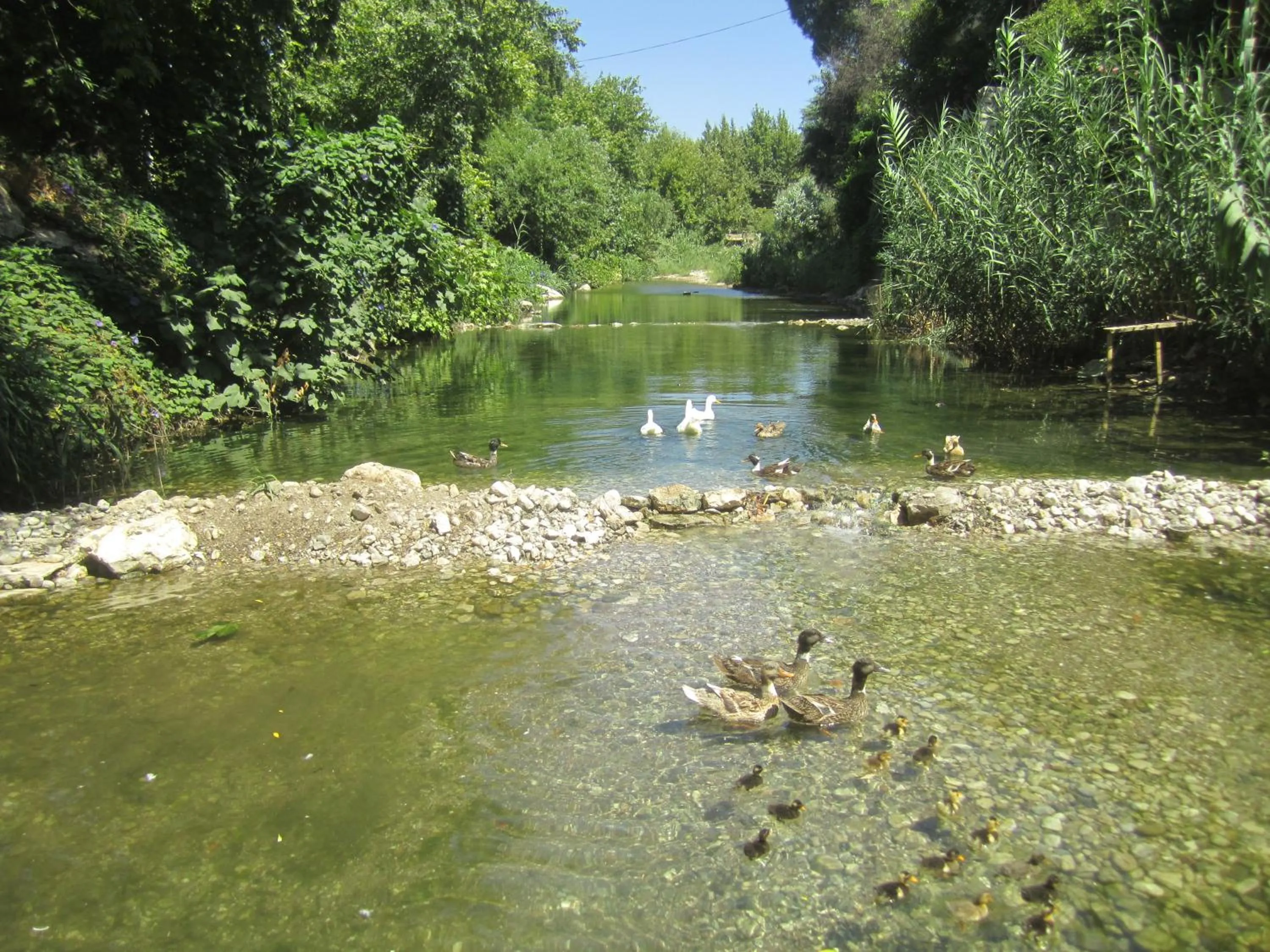 Garden in Arikanda River Garden Hotel