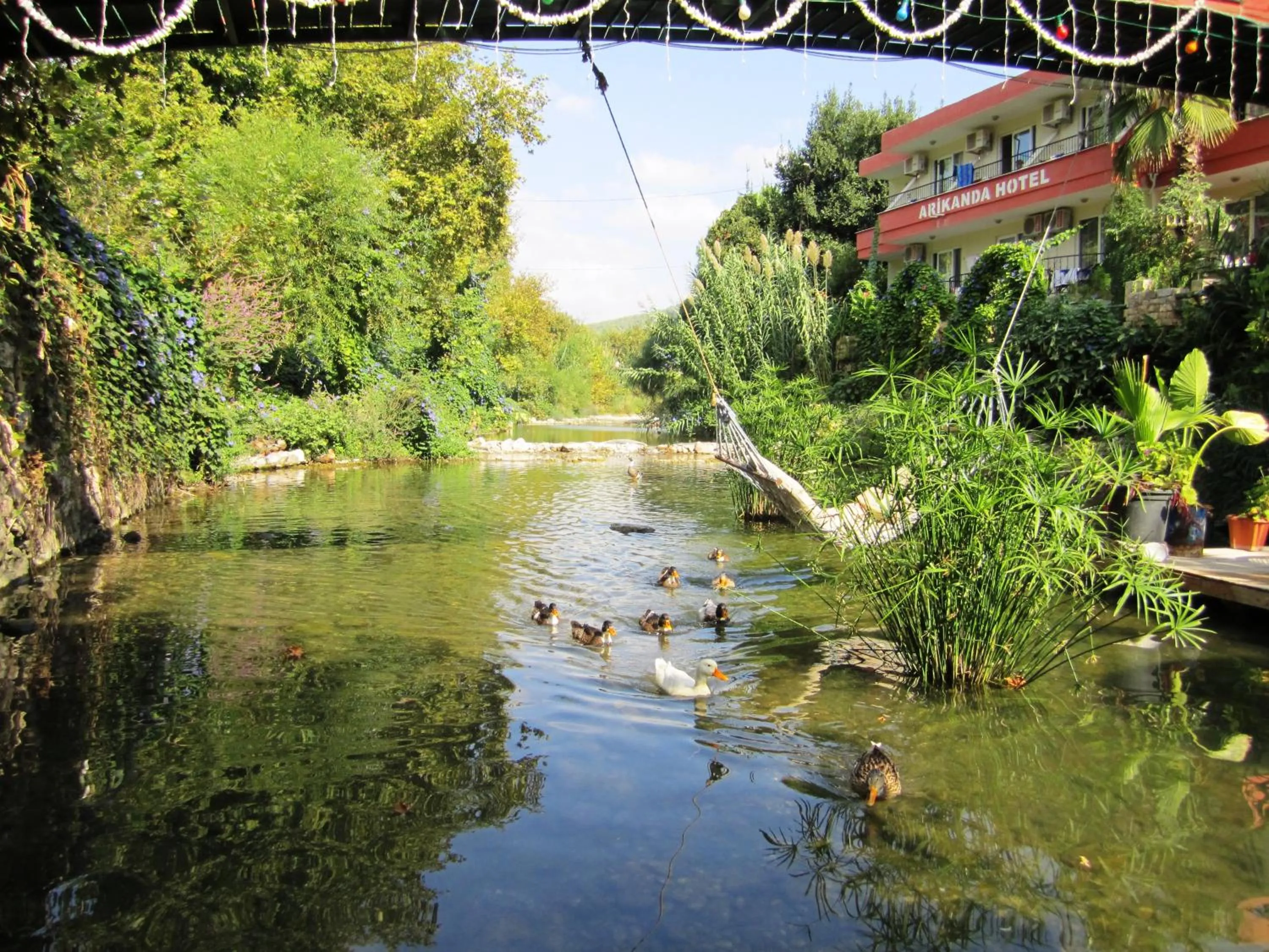 Garden in Arikanda River Garden Hotel