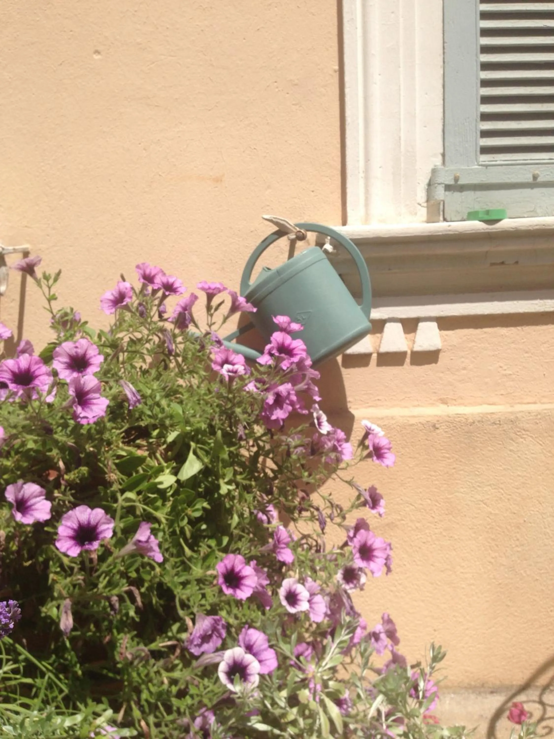 Garden in Chanteclair