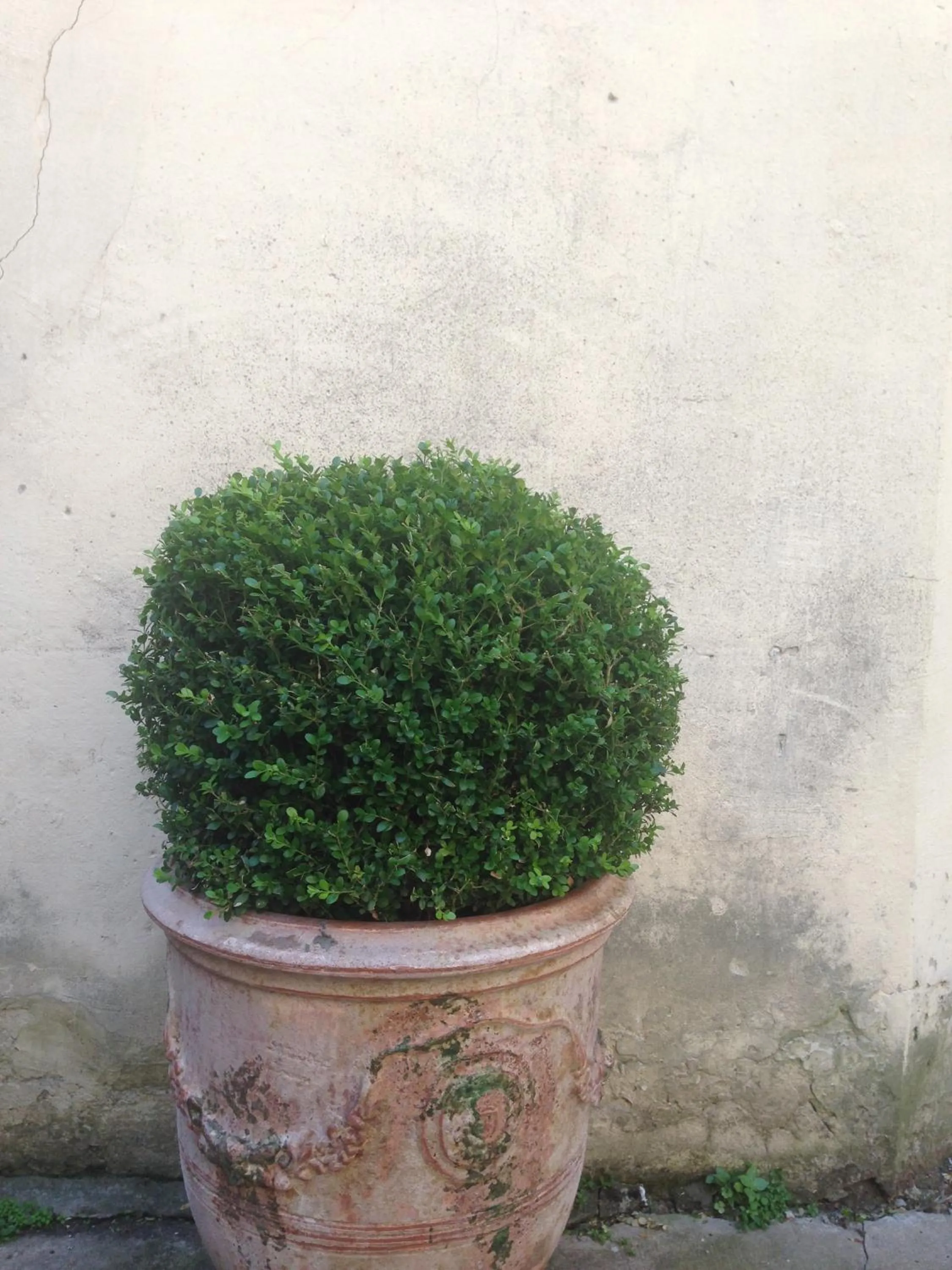 Decorative detail in Chanteclair