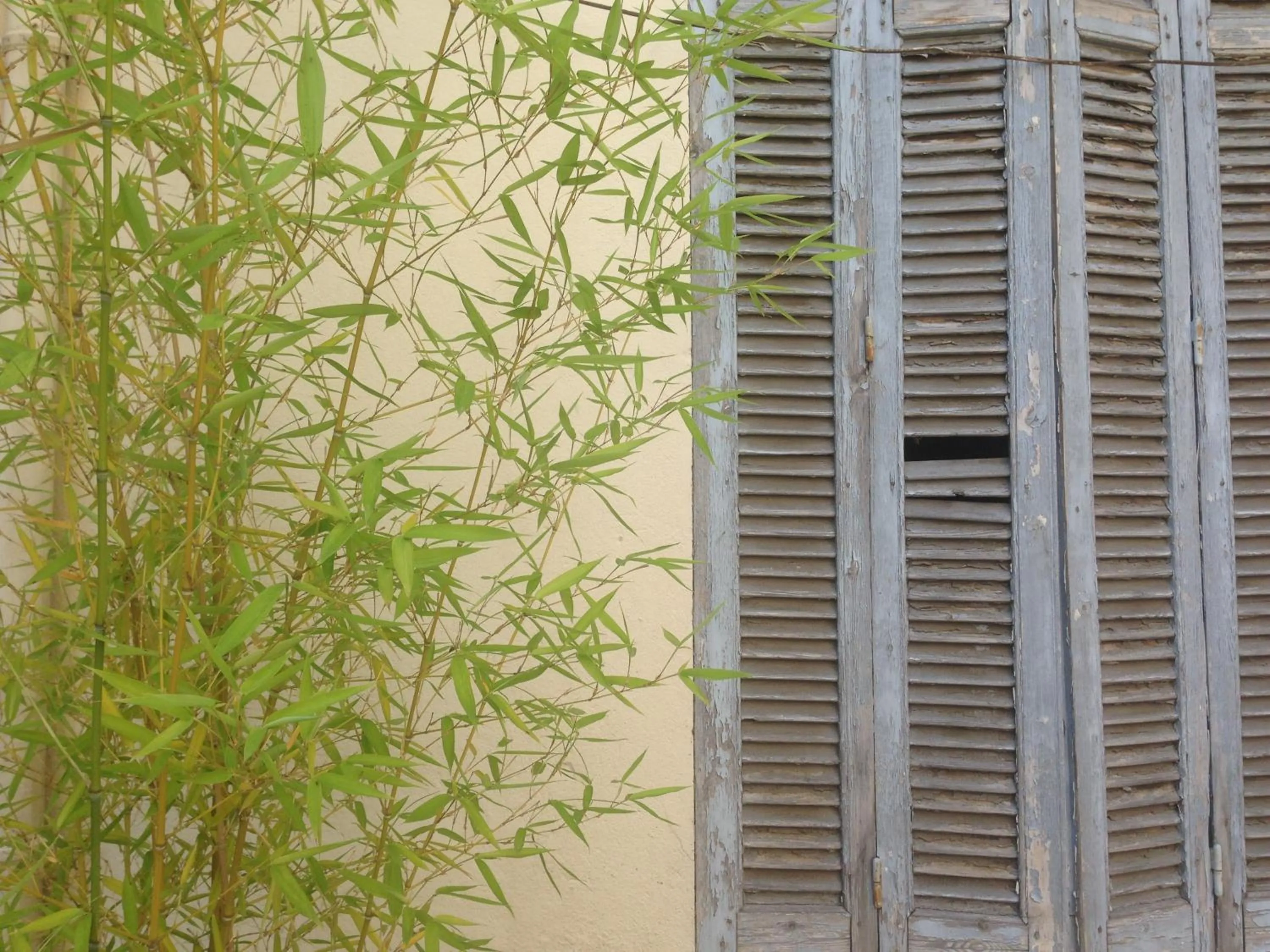 Decorative detail in Chanteclair