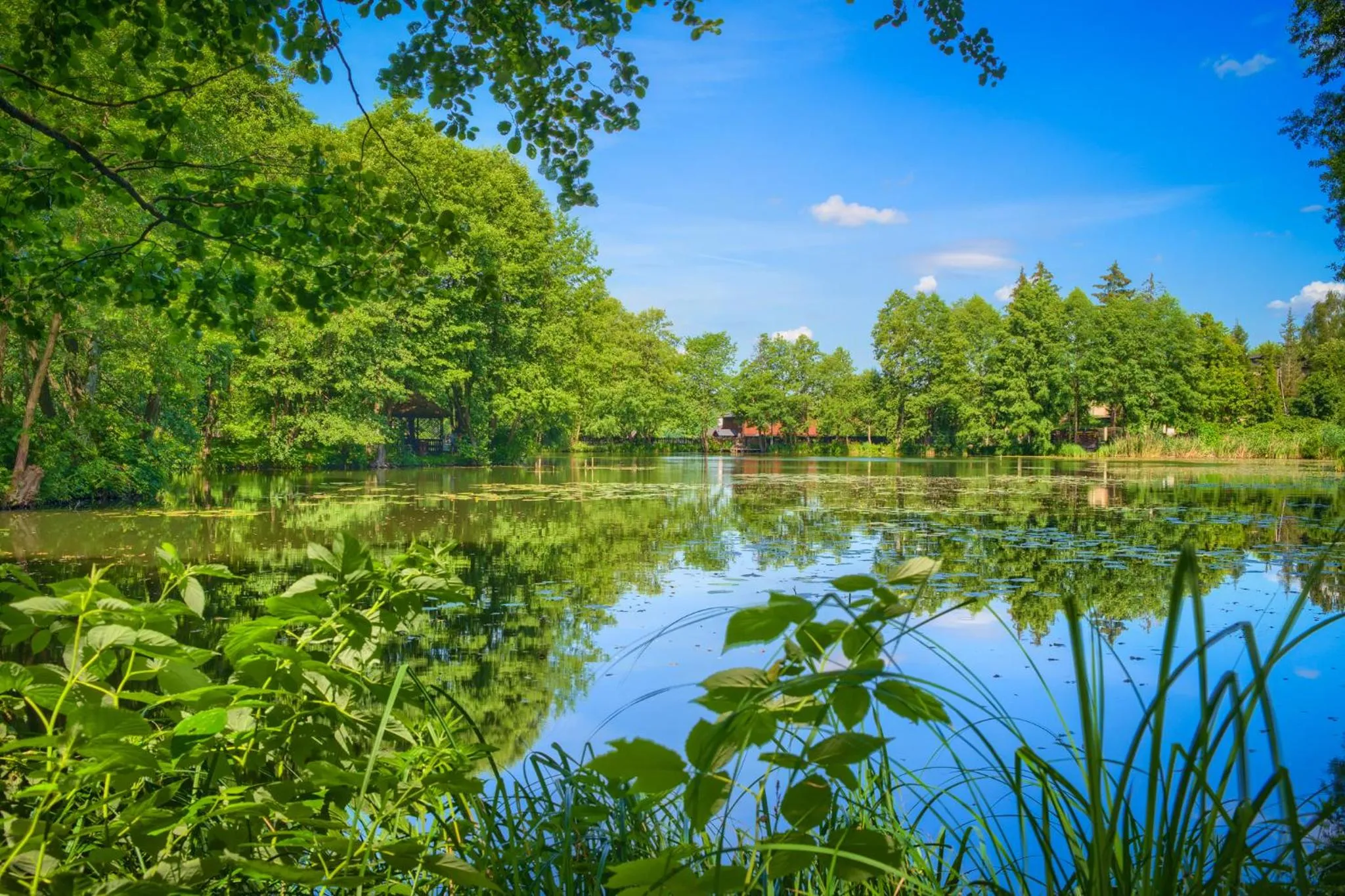 Lake view in Hotel Dworek Wapionka