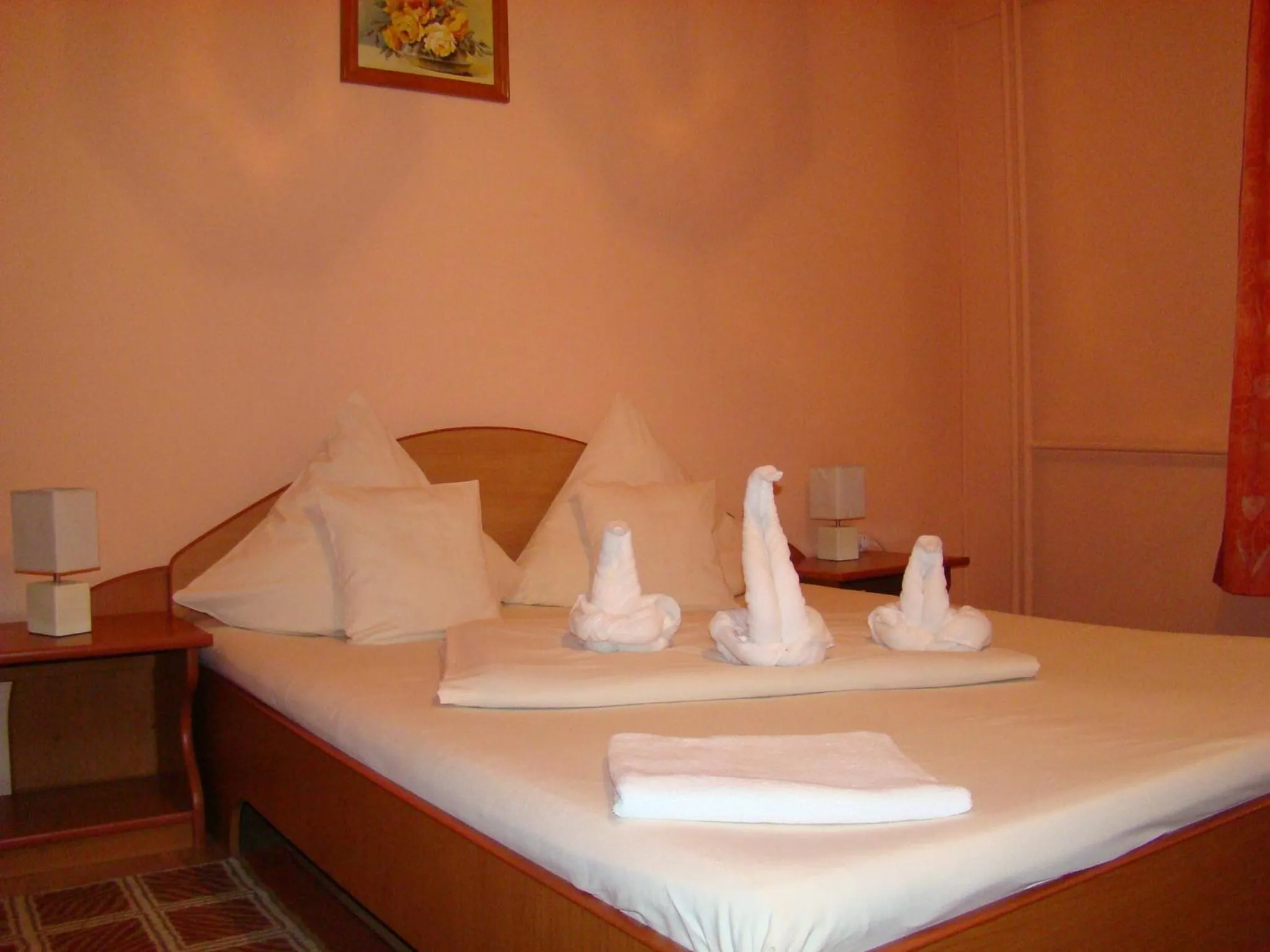 Double or Twin Room in Pensiunea Vlad