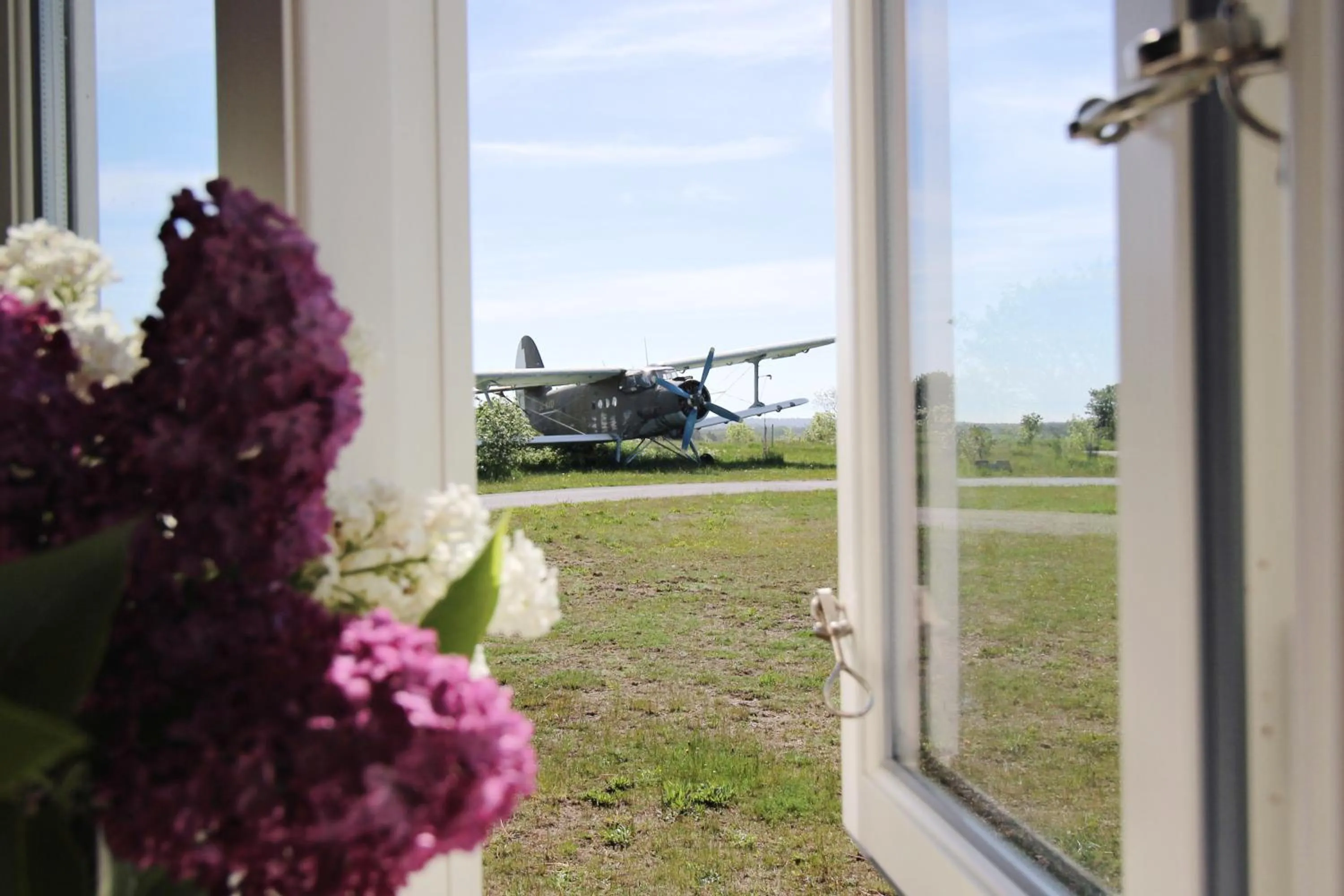 Garden view in STF Bunge Hostel