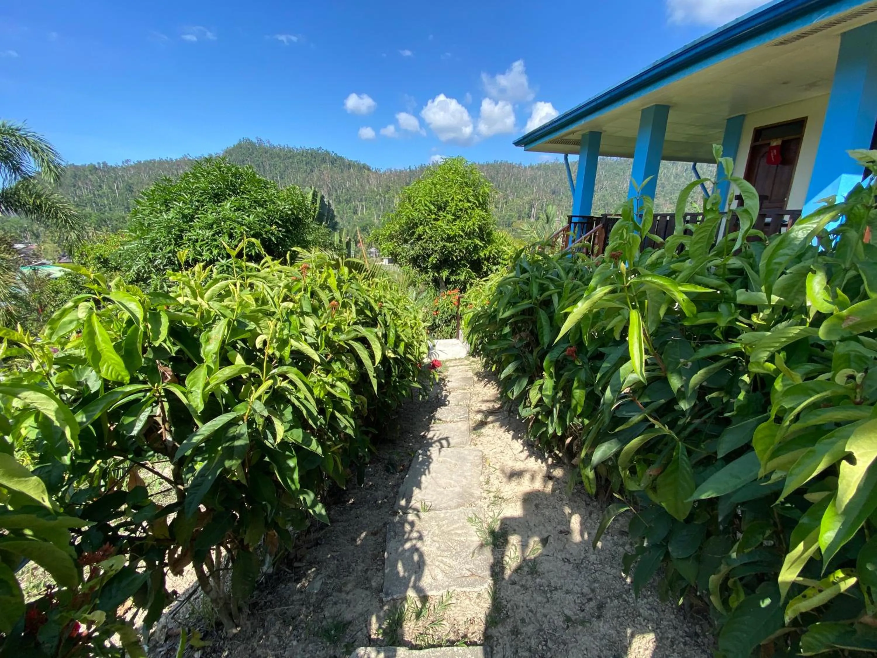 Garden view in Santa Claus Hilltop