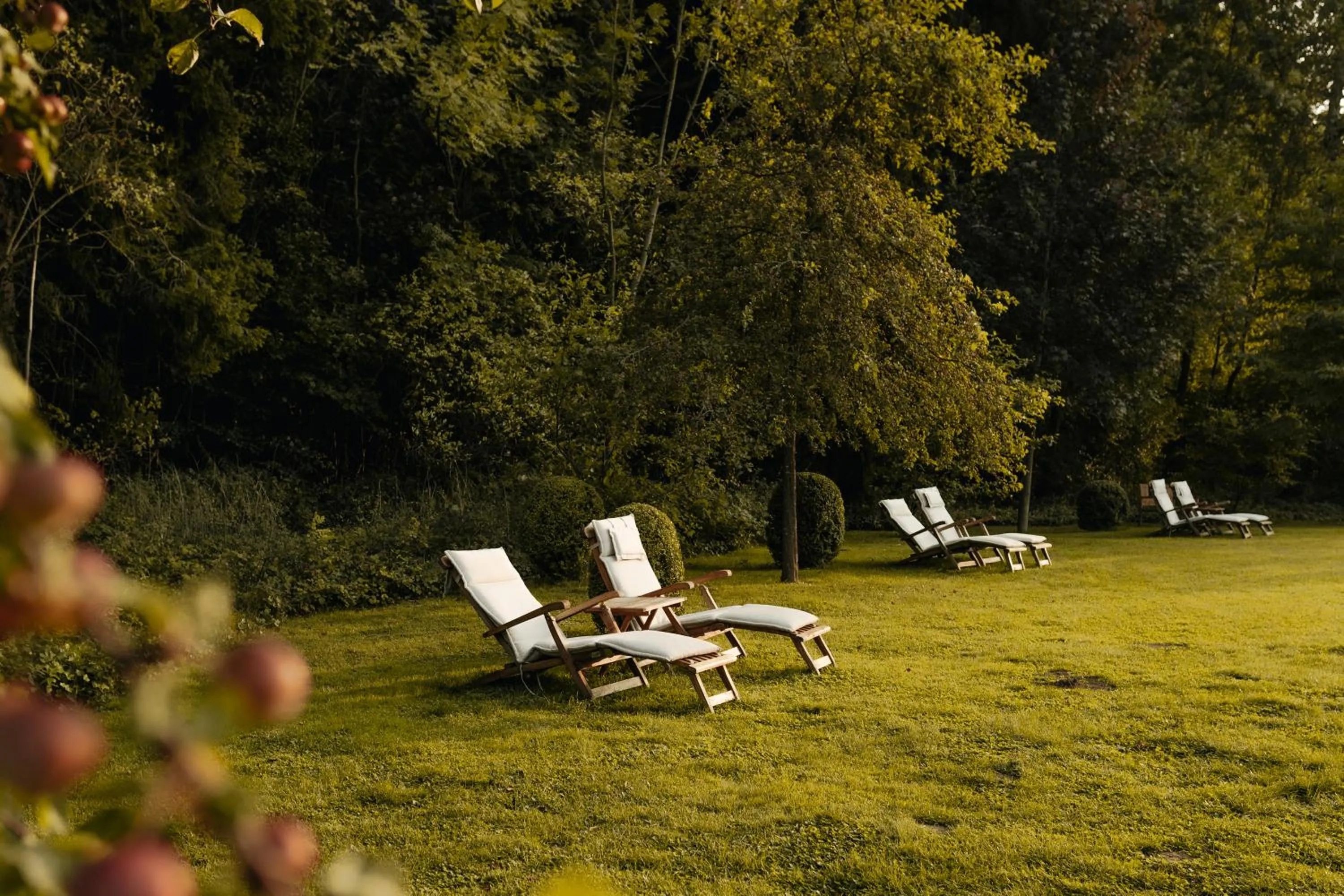 Garden in Waldhotel Stuttgart