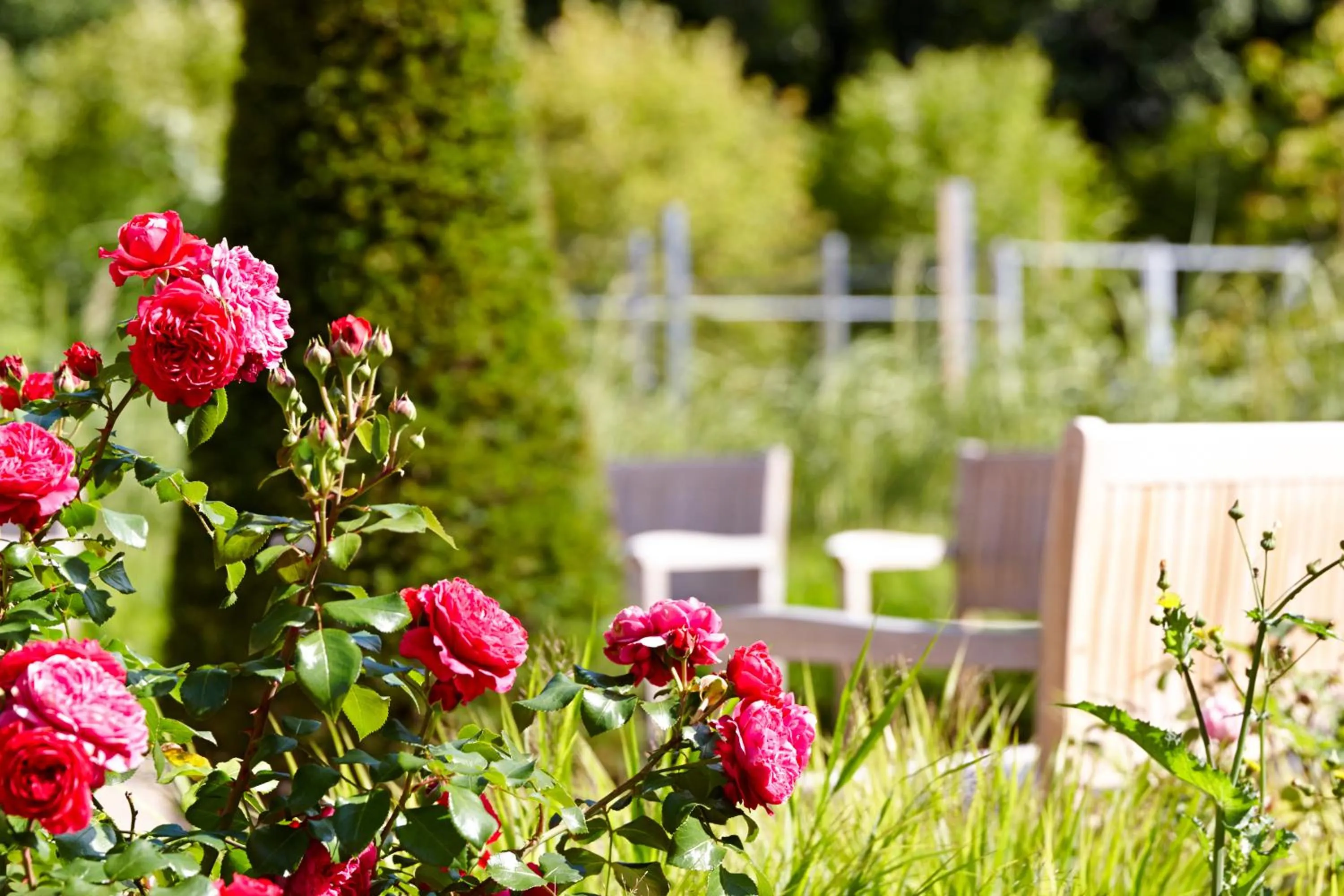 Garden in Waldhotel Stuttgart