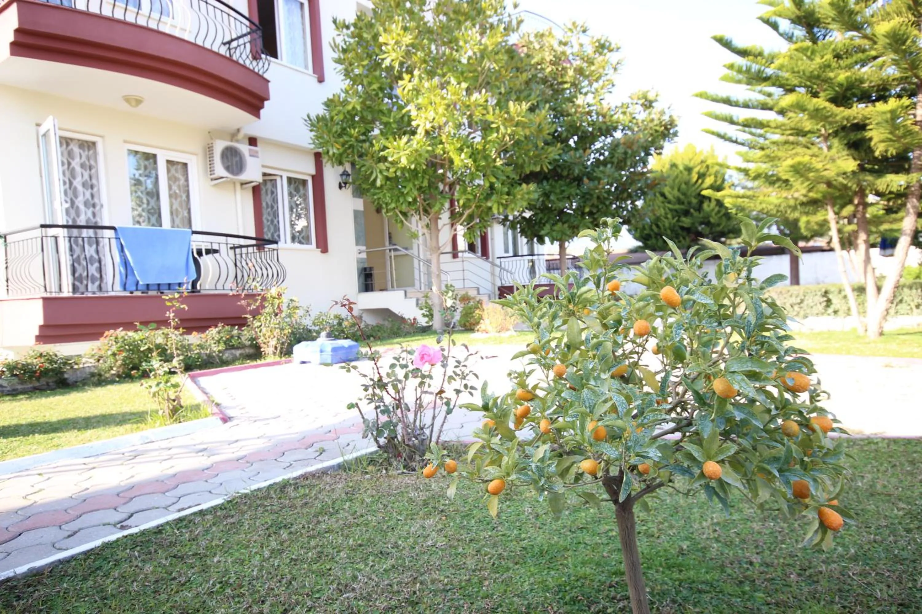 Facade/entrance in Minta Apart Hotel