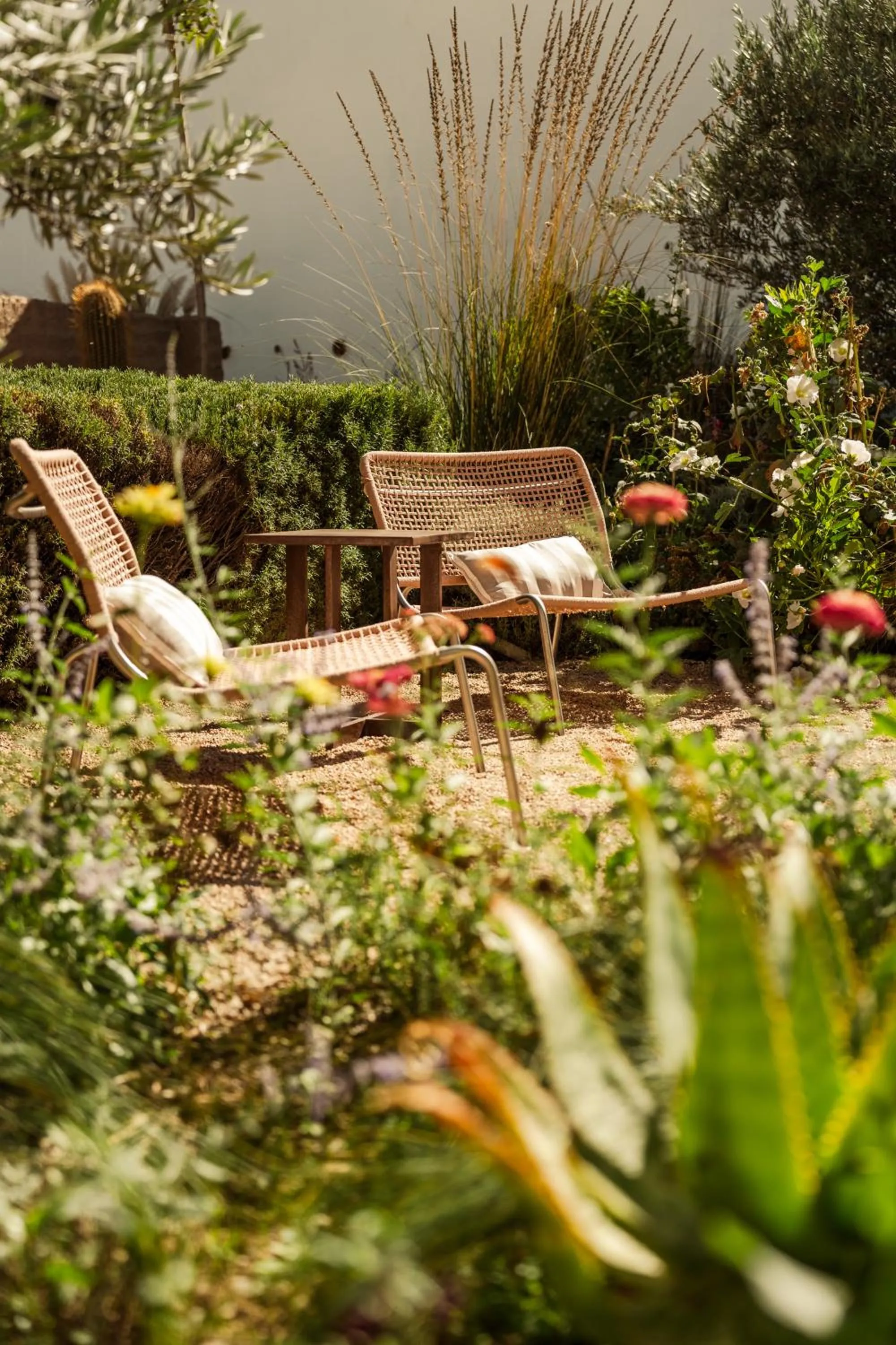 Garden in El Cortijo Hotel Boutique
