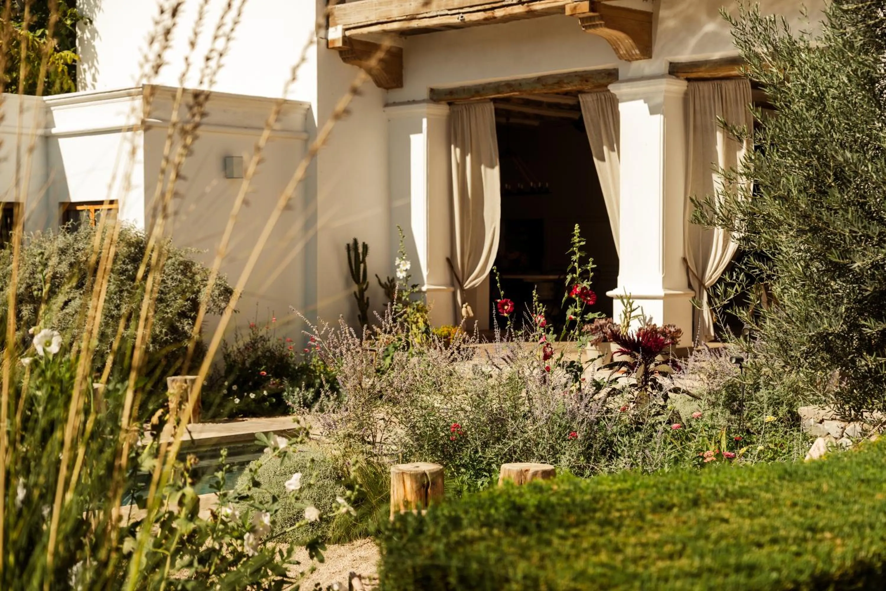Garden in El Cortijo Hotel Boutique