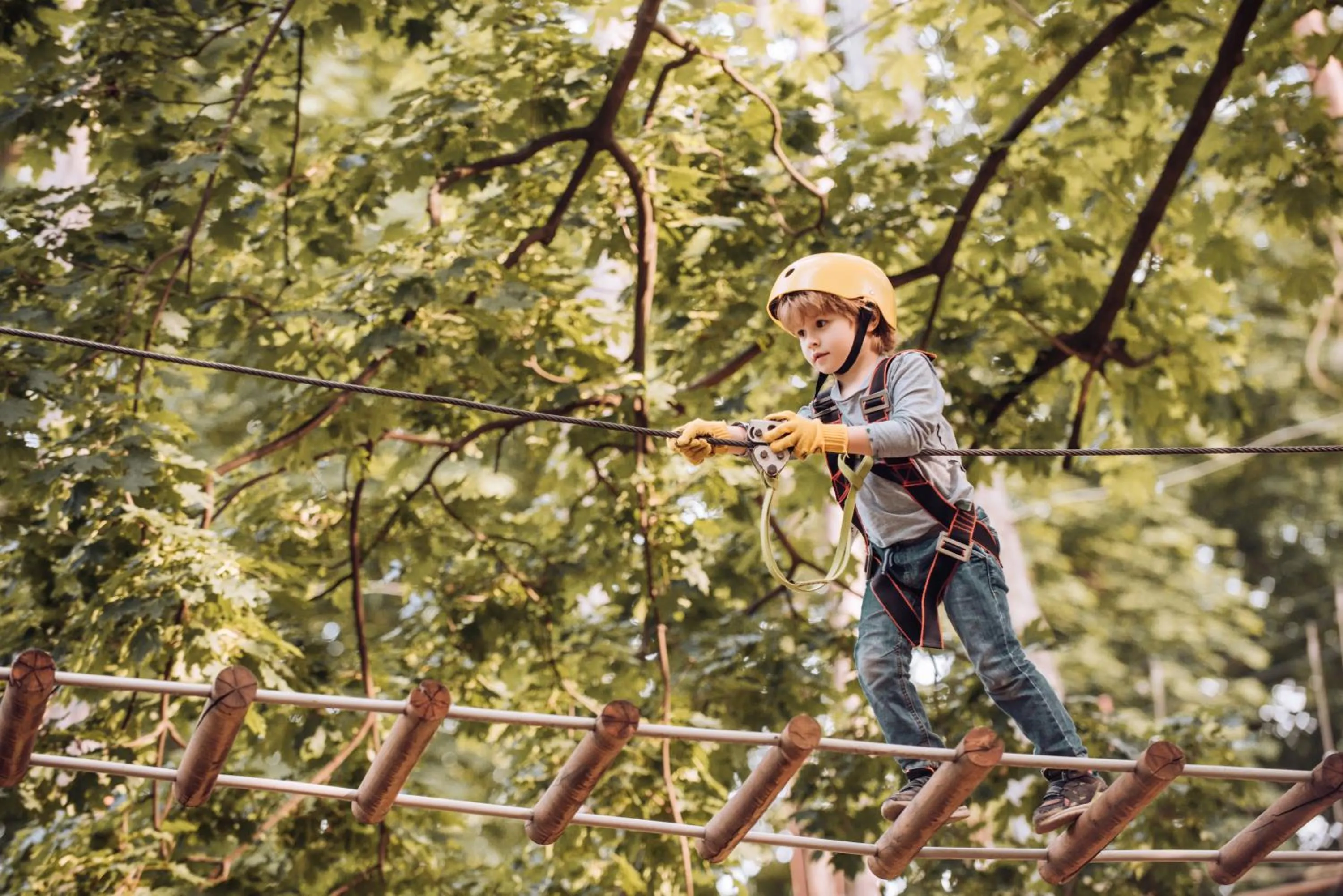 Activities in Château de Fontanges
