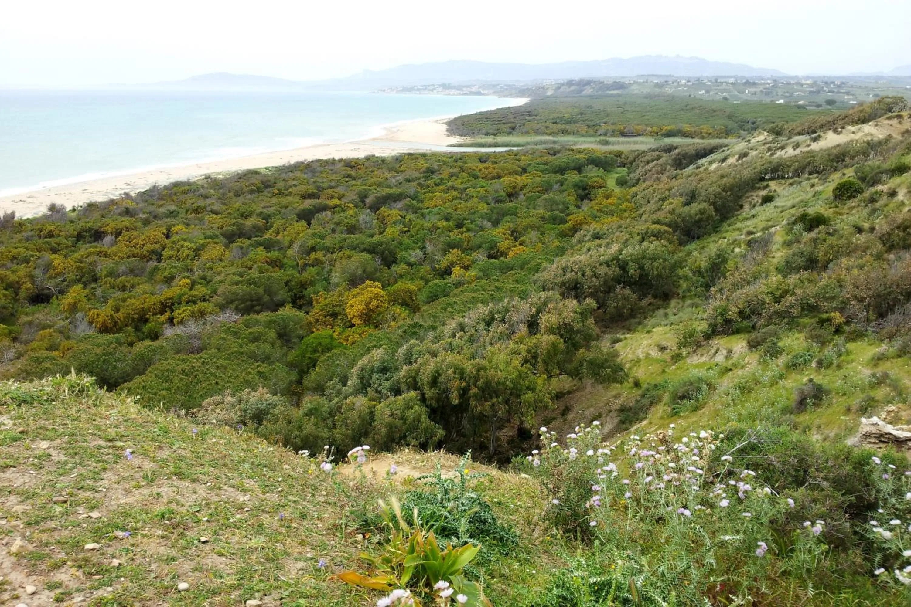 Natural landscape in Hotel Dei Pini