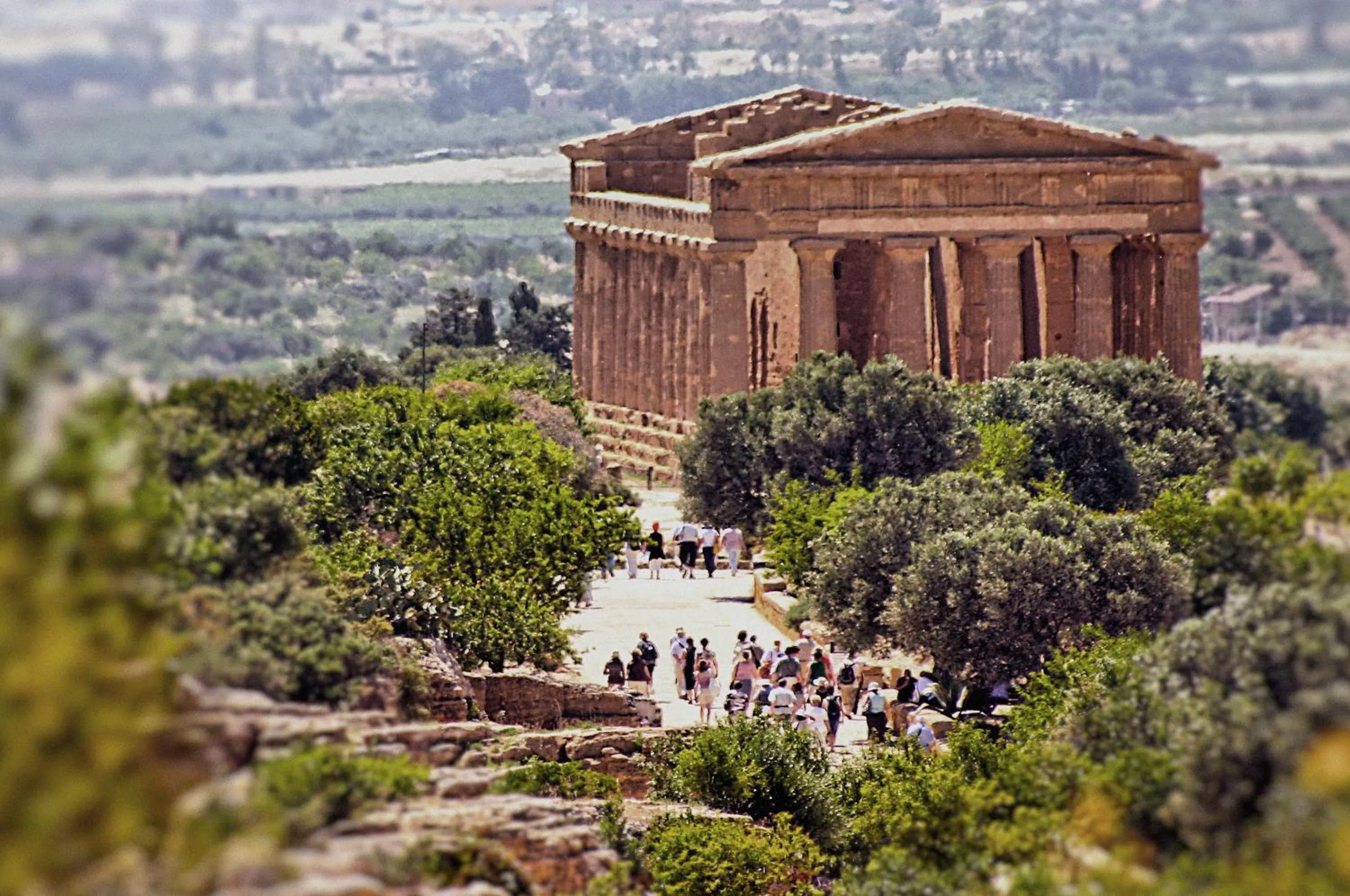 Neighbourhood in Hotel Dei Pini