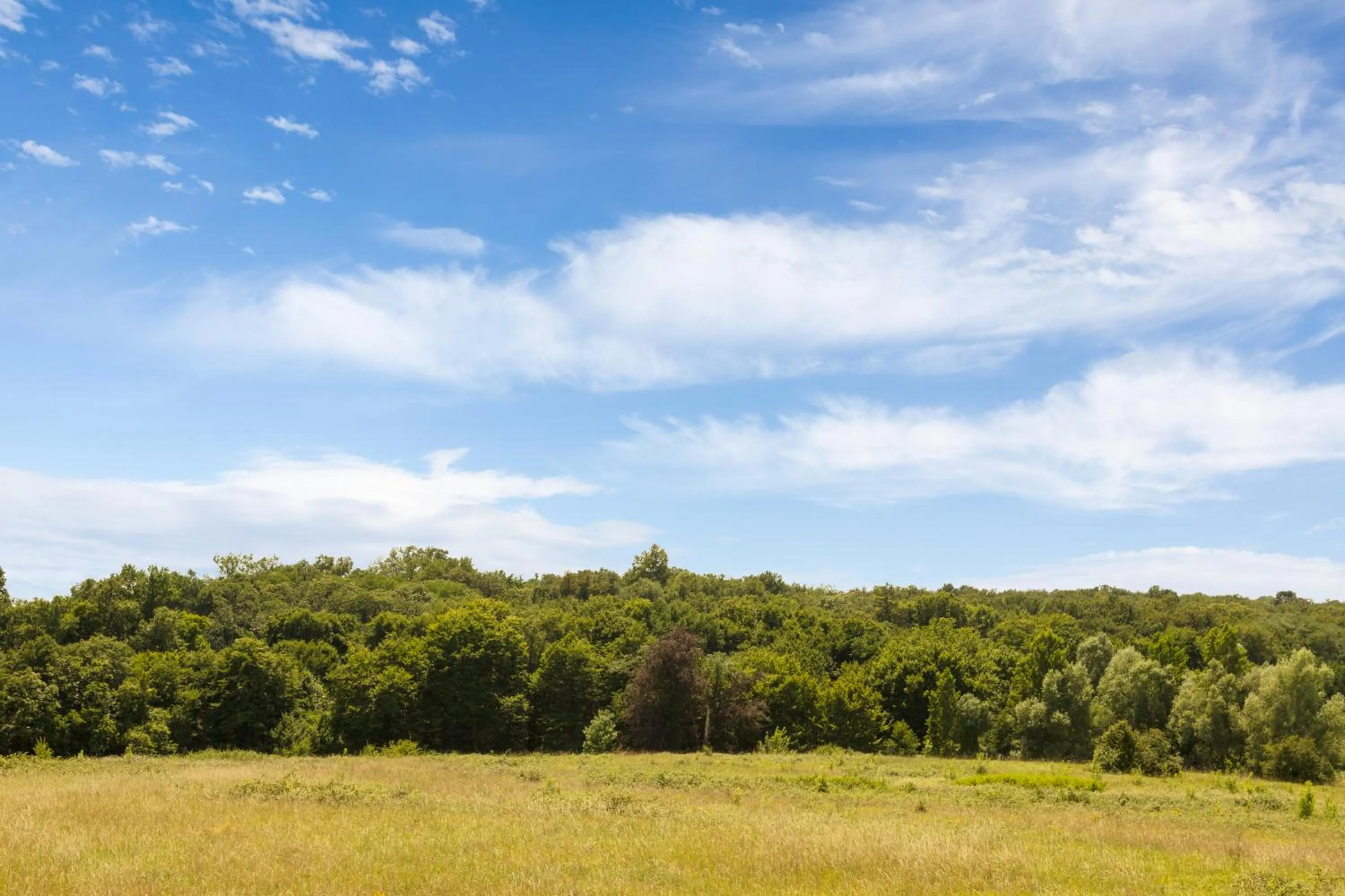 Natural landscape in Logis Hôtel Corintel Bordeaux Est