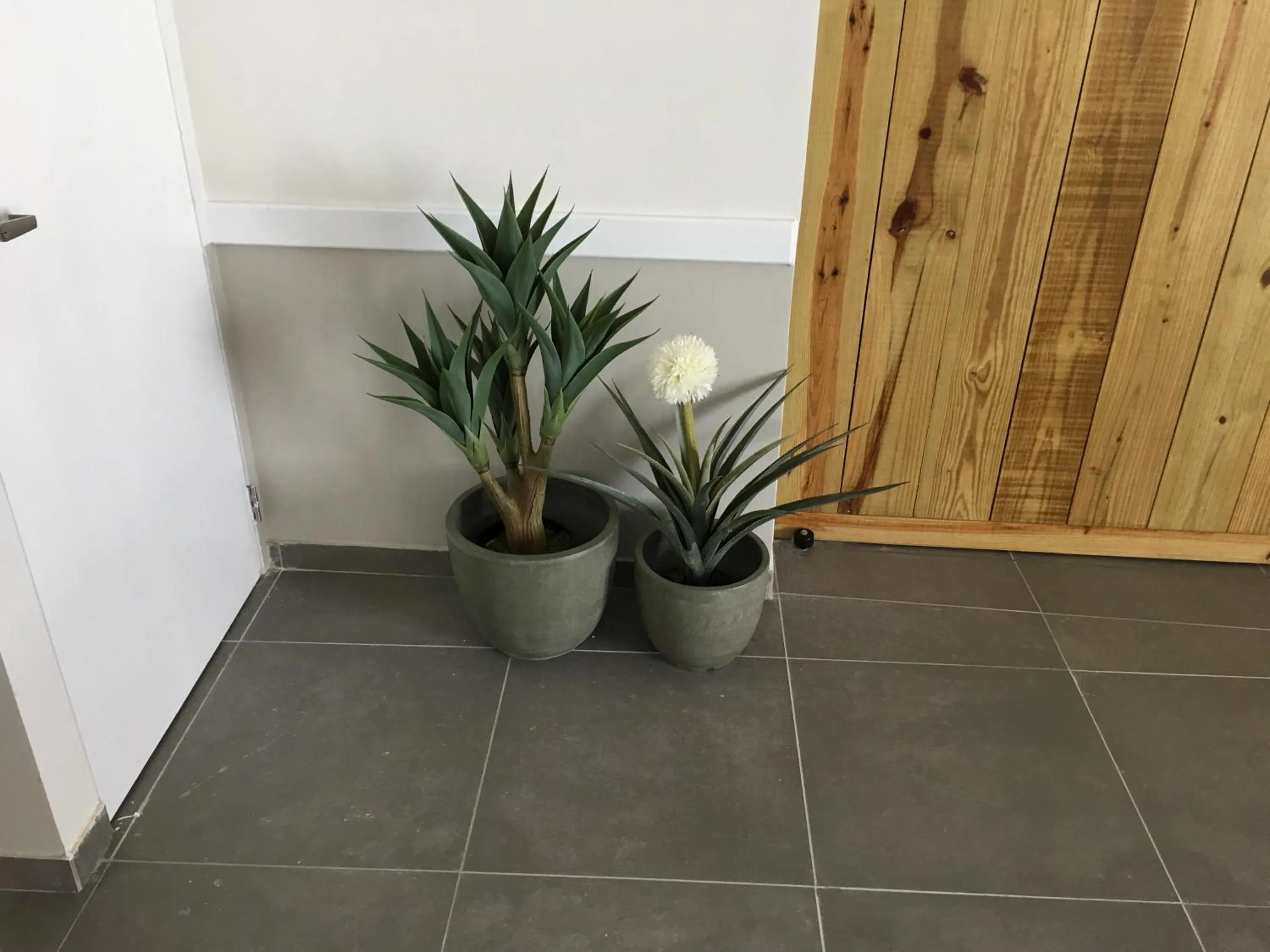 Decorative detail in San Marco Hotel Curacao & Casino