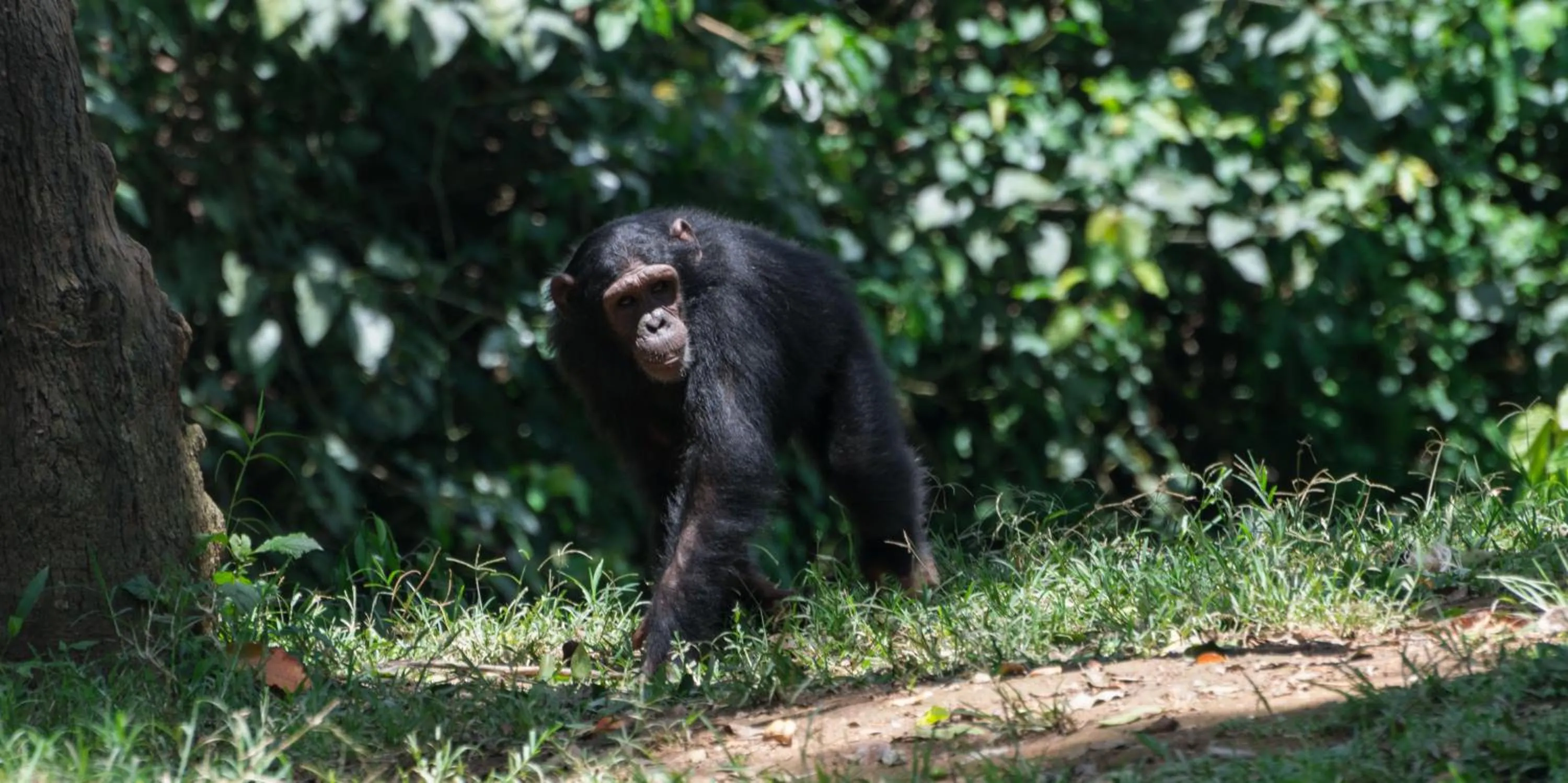 Entertainment in Buvi Lodge Limited