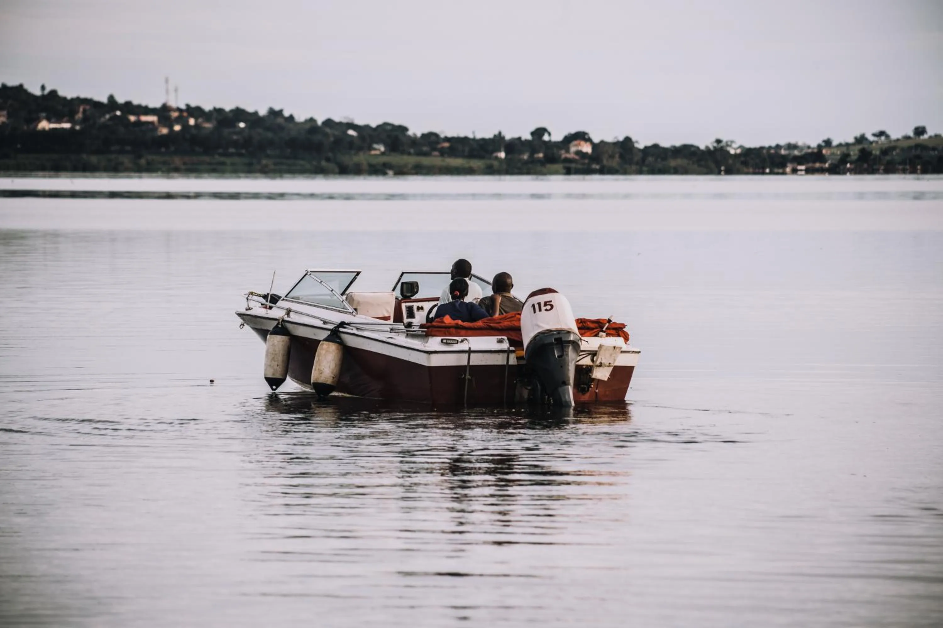 Activities in Buvi Lodge Limited