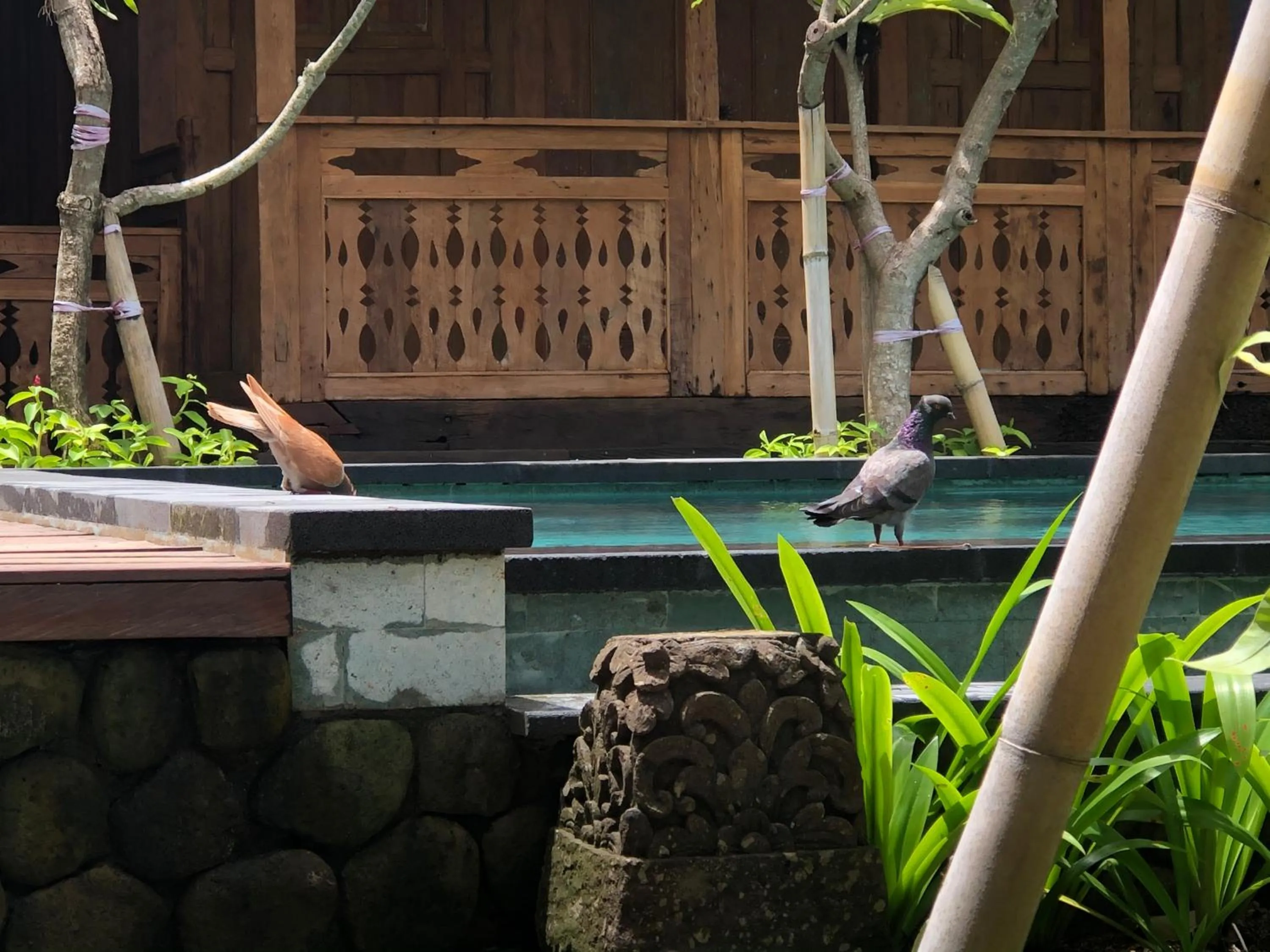 Melati Bali Homestay