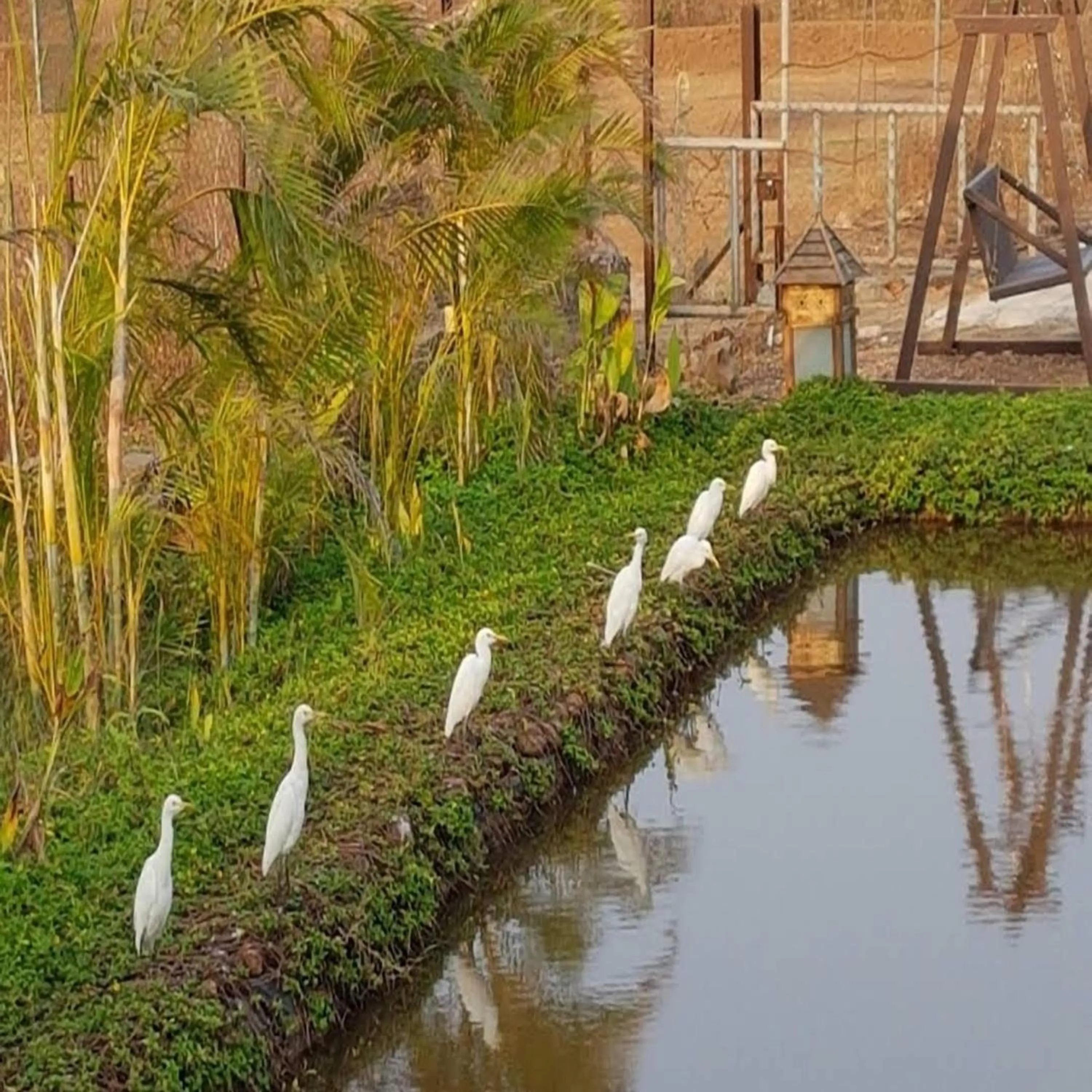 Natural landscape in Exotica Beach Retreats Diveagar