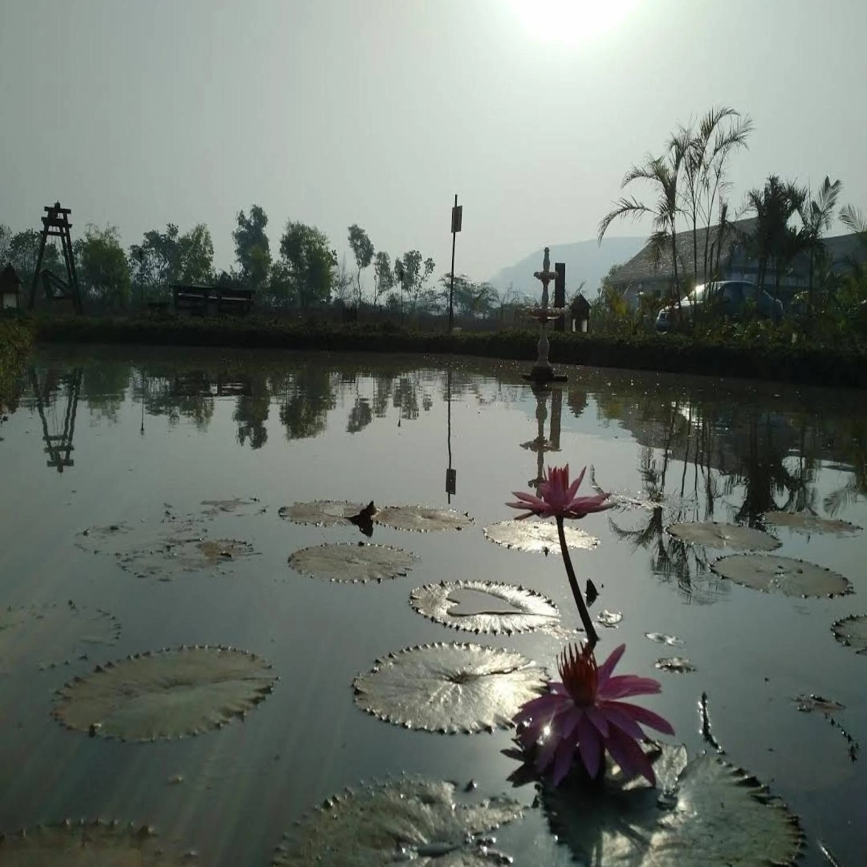 Natural landscape in Exotica Beach Retreats Diveagar