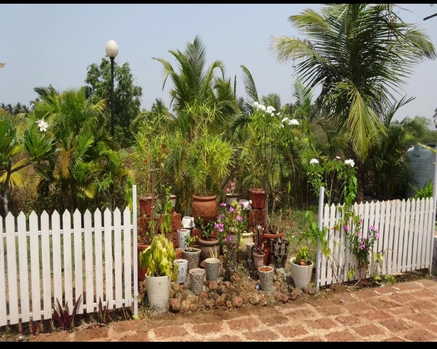 Garden in Exotica Beach Retreats Diveagar