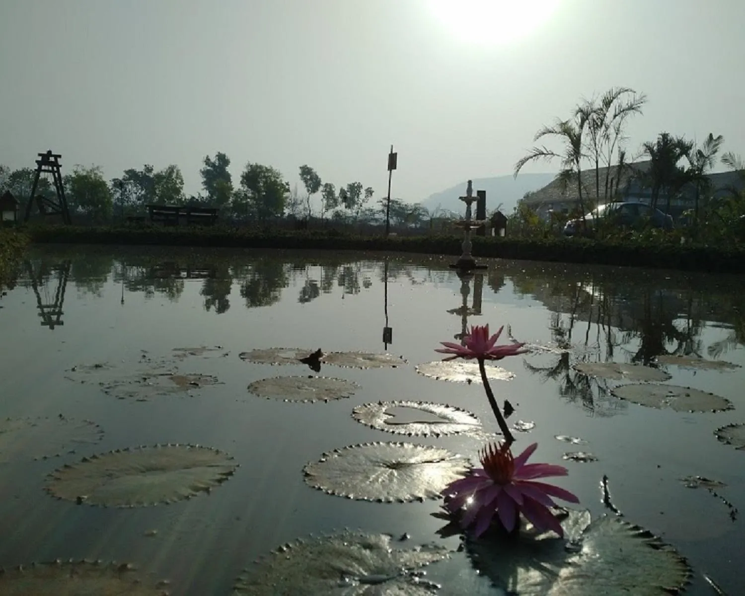 Natural landscape in Exotica Beach Retreats Diveagar