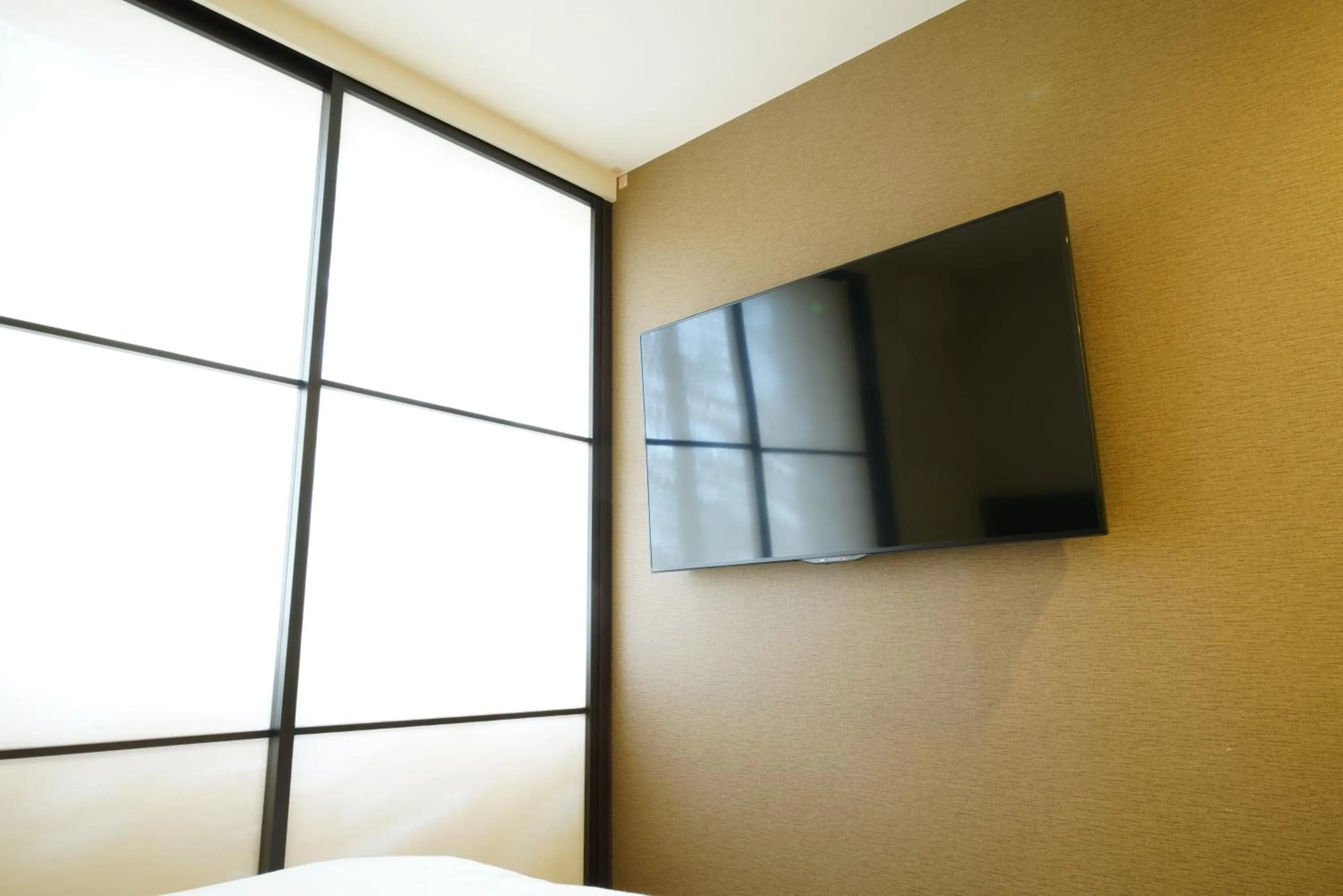 TV and multimedia in Hotel Riverge Akebono