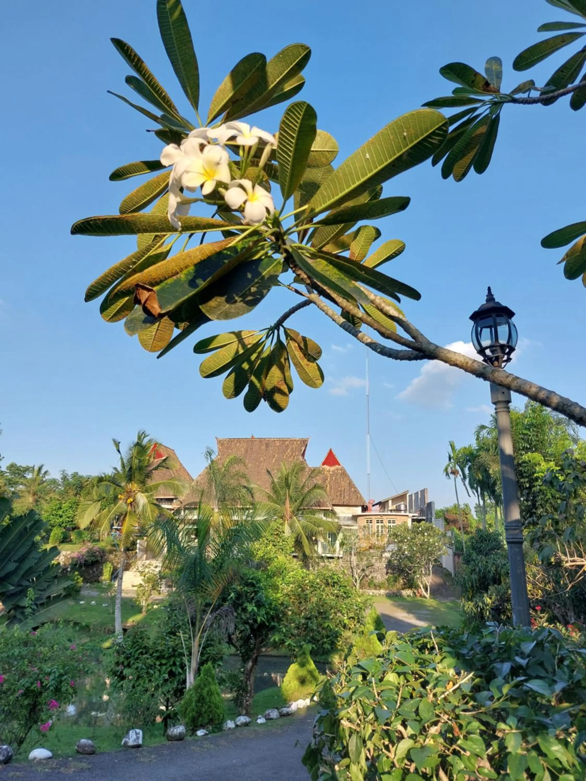 Garden view in Hotel Deli River and Restaurant Omlandia