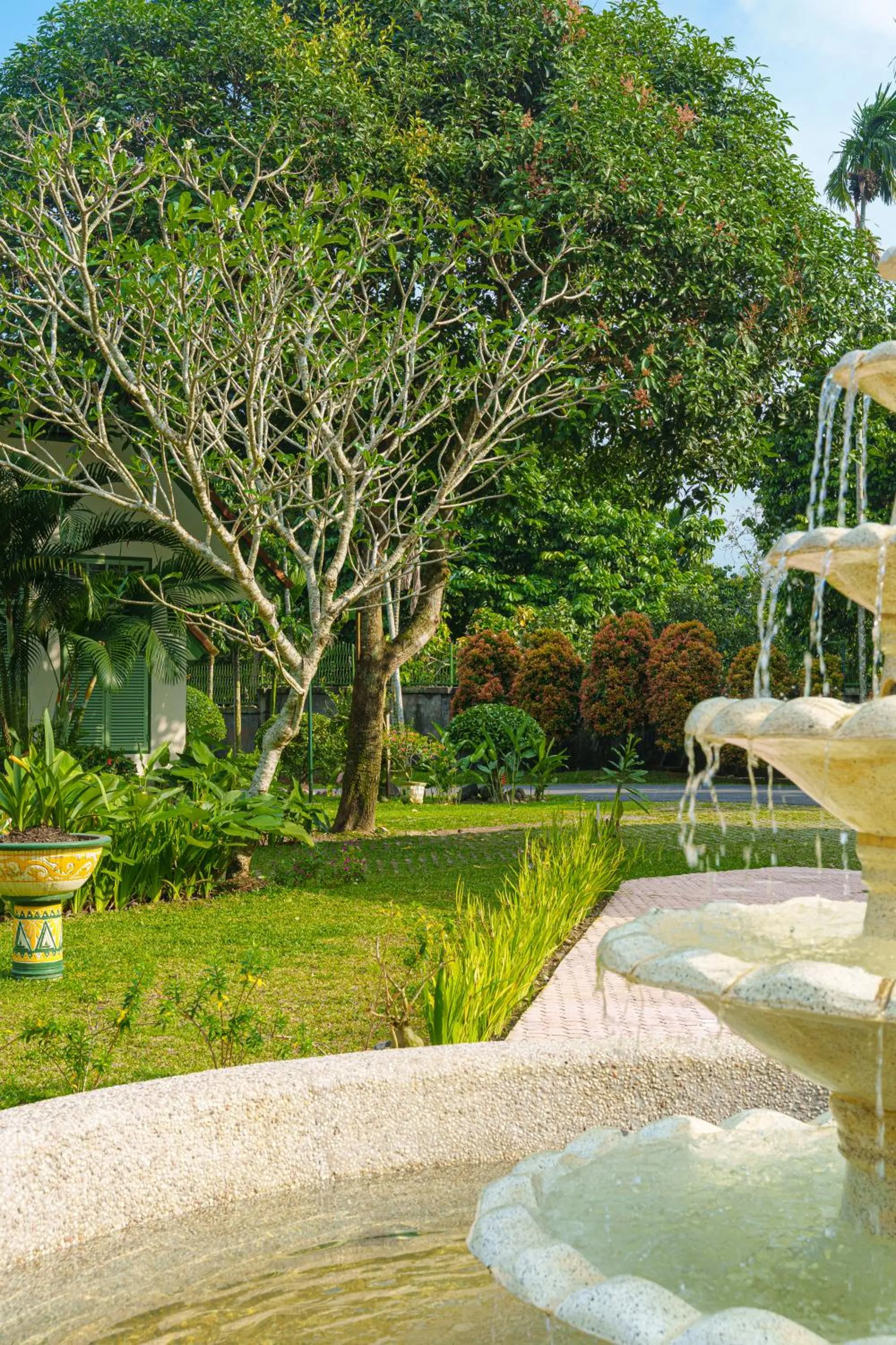 Garden view in Hotel Deli River and Restaurant Omlandia