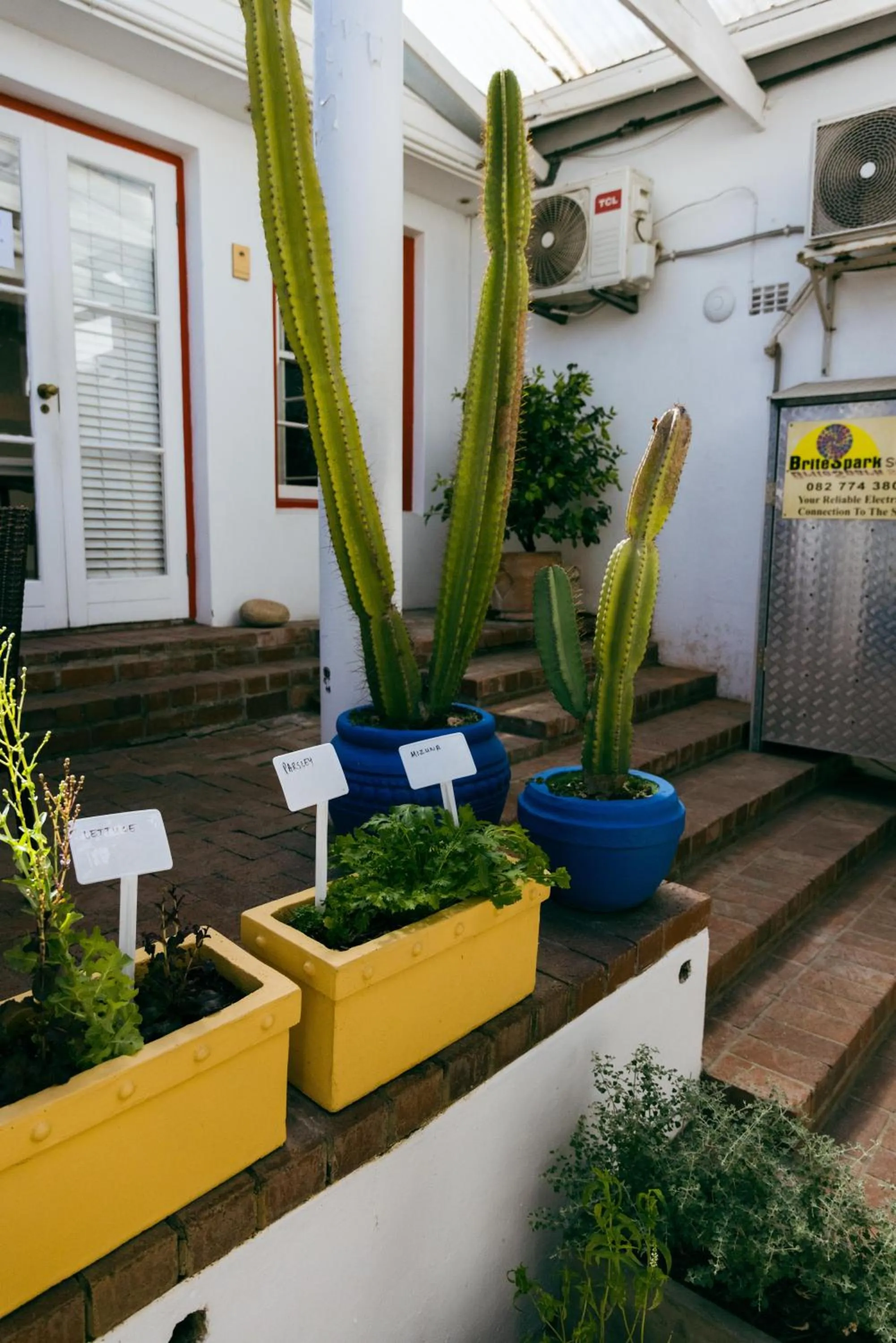 Garden in Villa Viva Cape Town