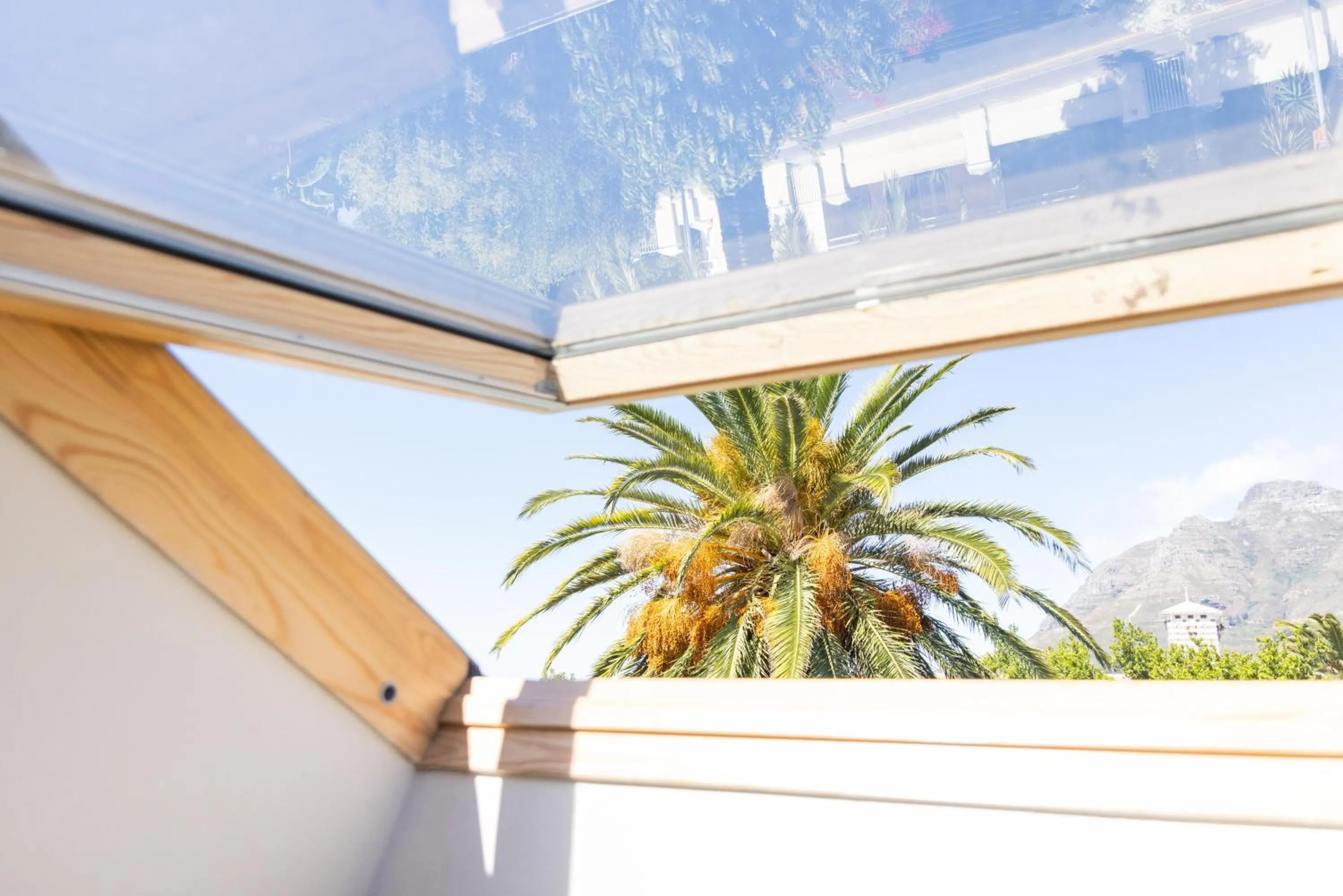 Spring in Villa Viva Cape Town