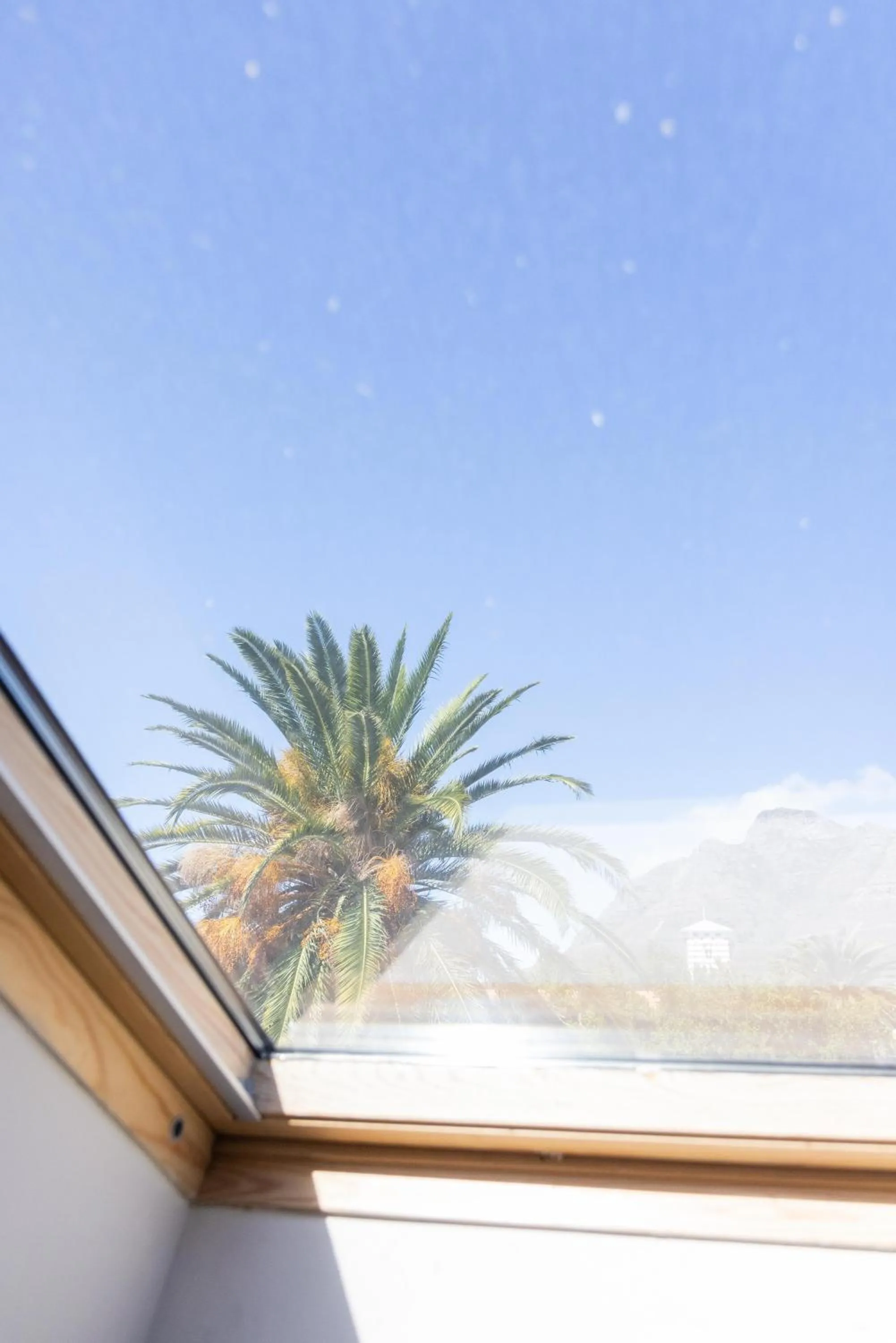 Day in Villa Viva Cape Town