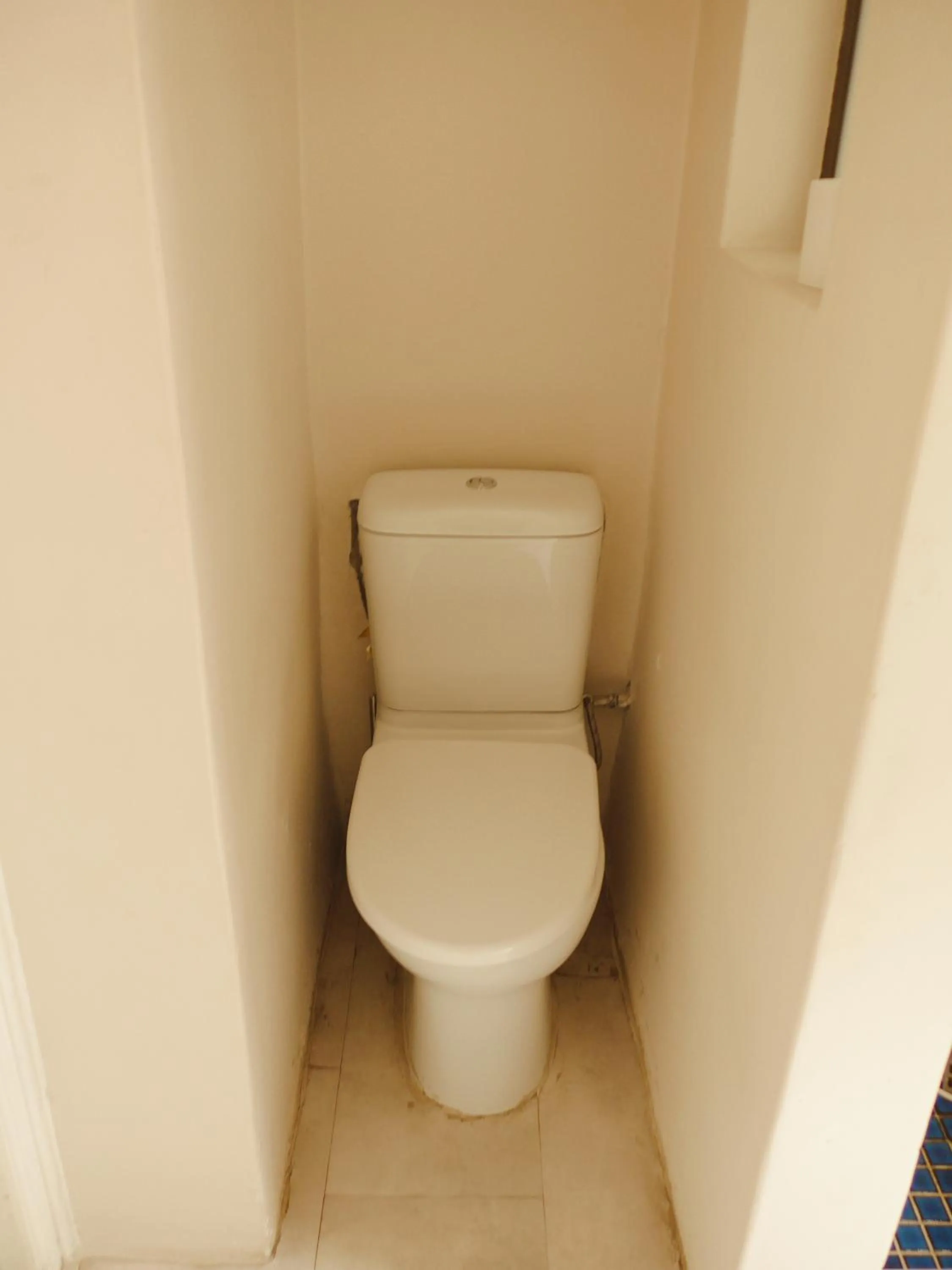 Toilet in Villa Viva Cape Town