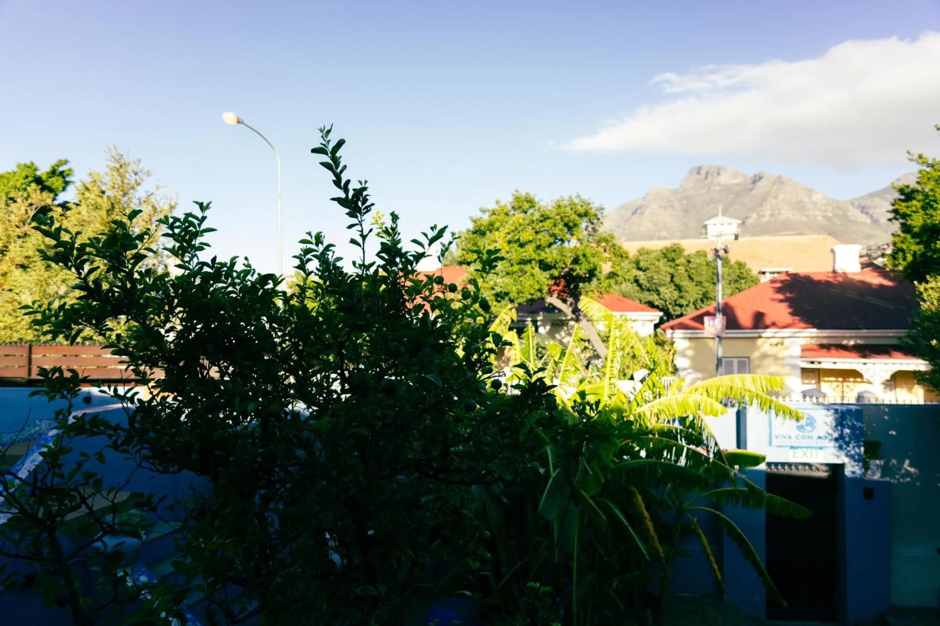 Spring in Villa Viva Cape Town