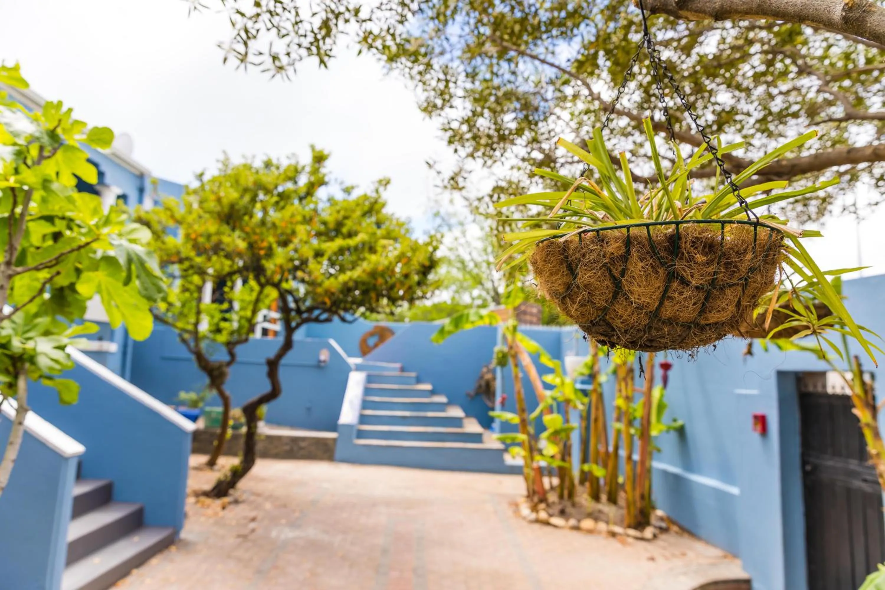Patio in Villa Viva Cape Town