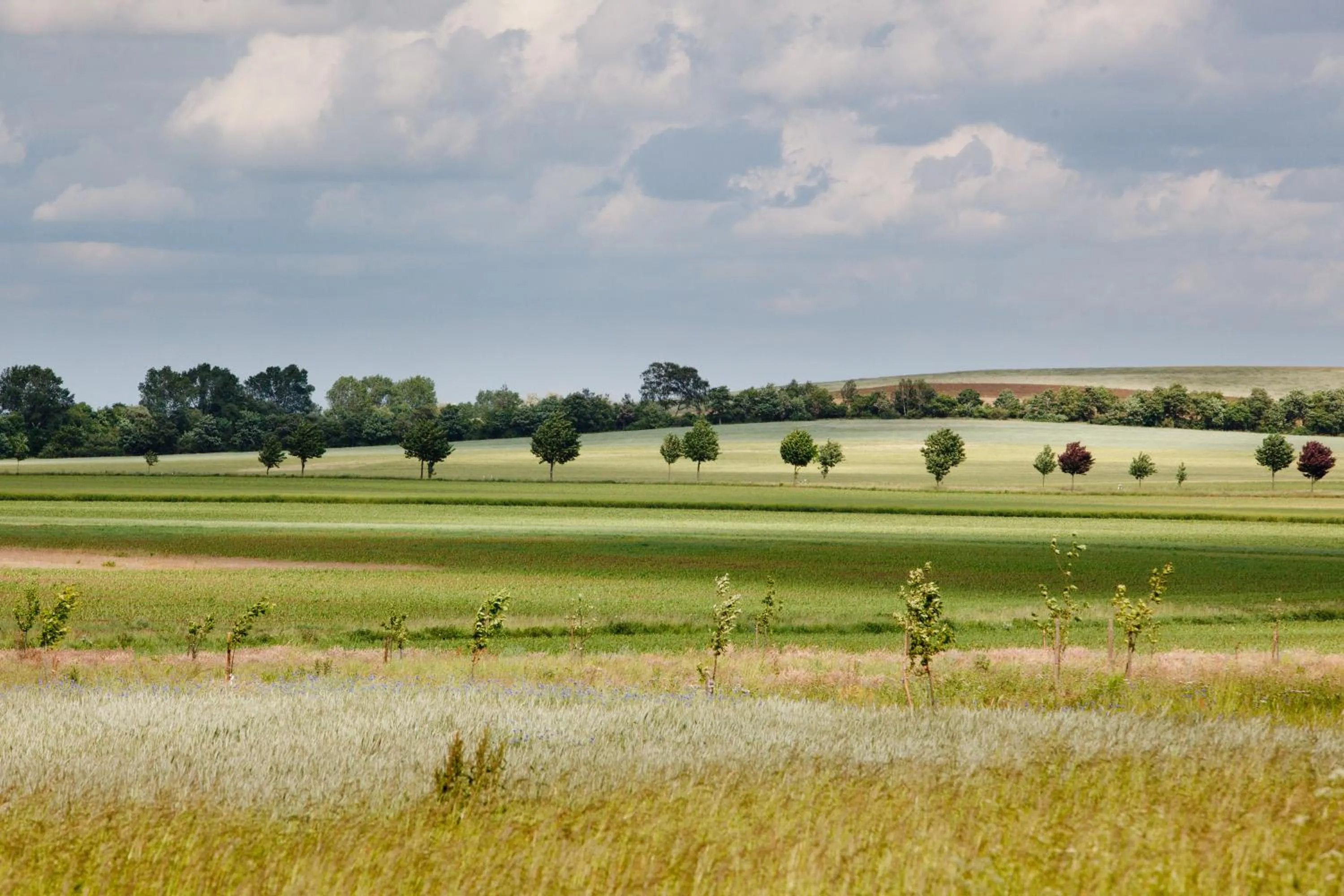 Off site in Landhotel Zum Pottkuchen