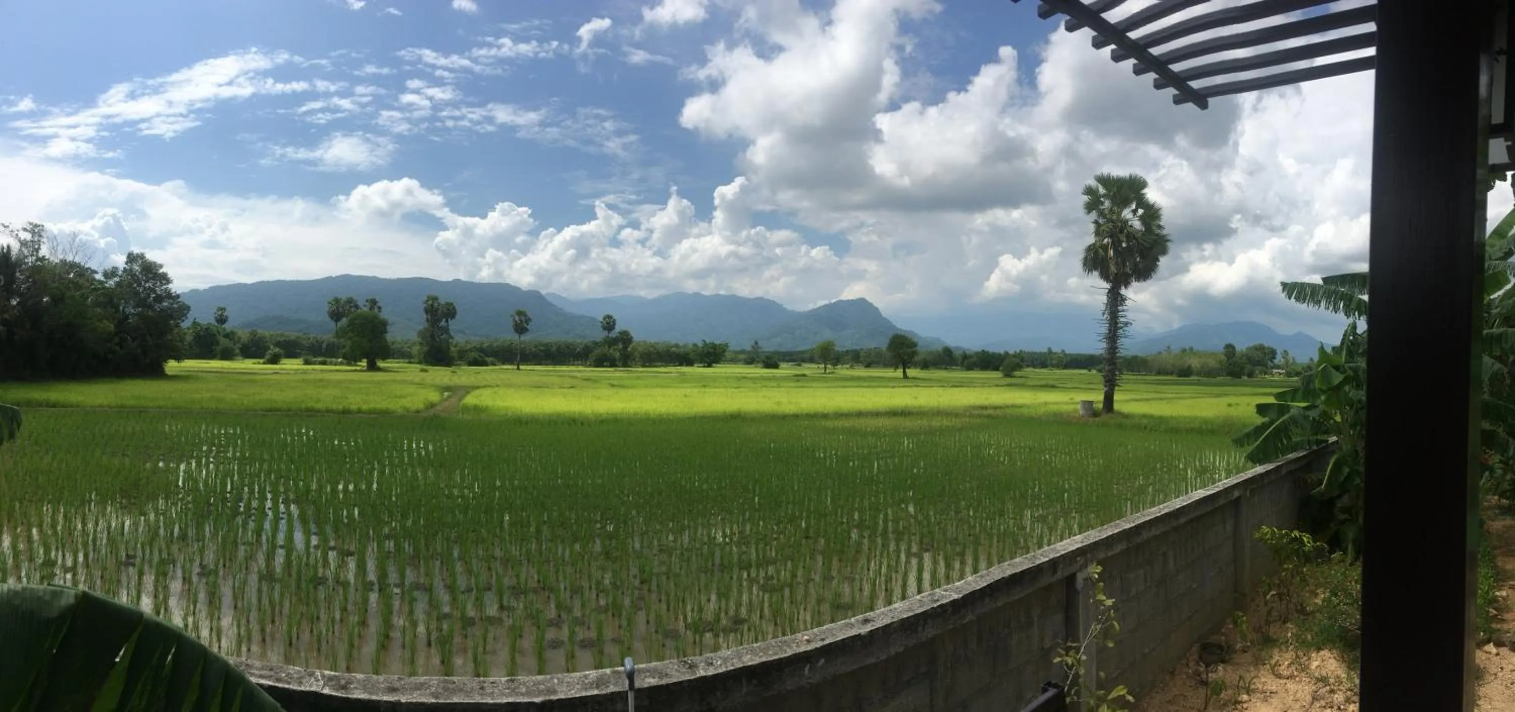 4 seasons mini house