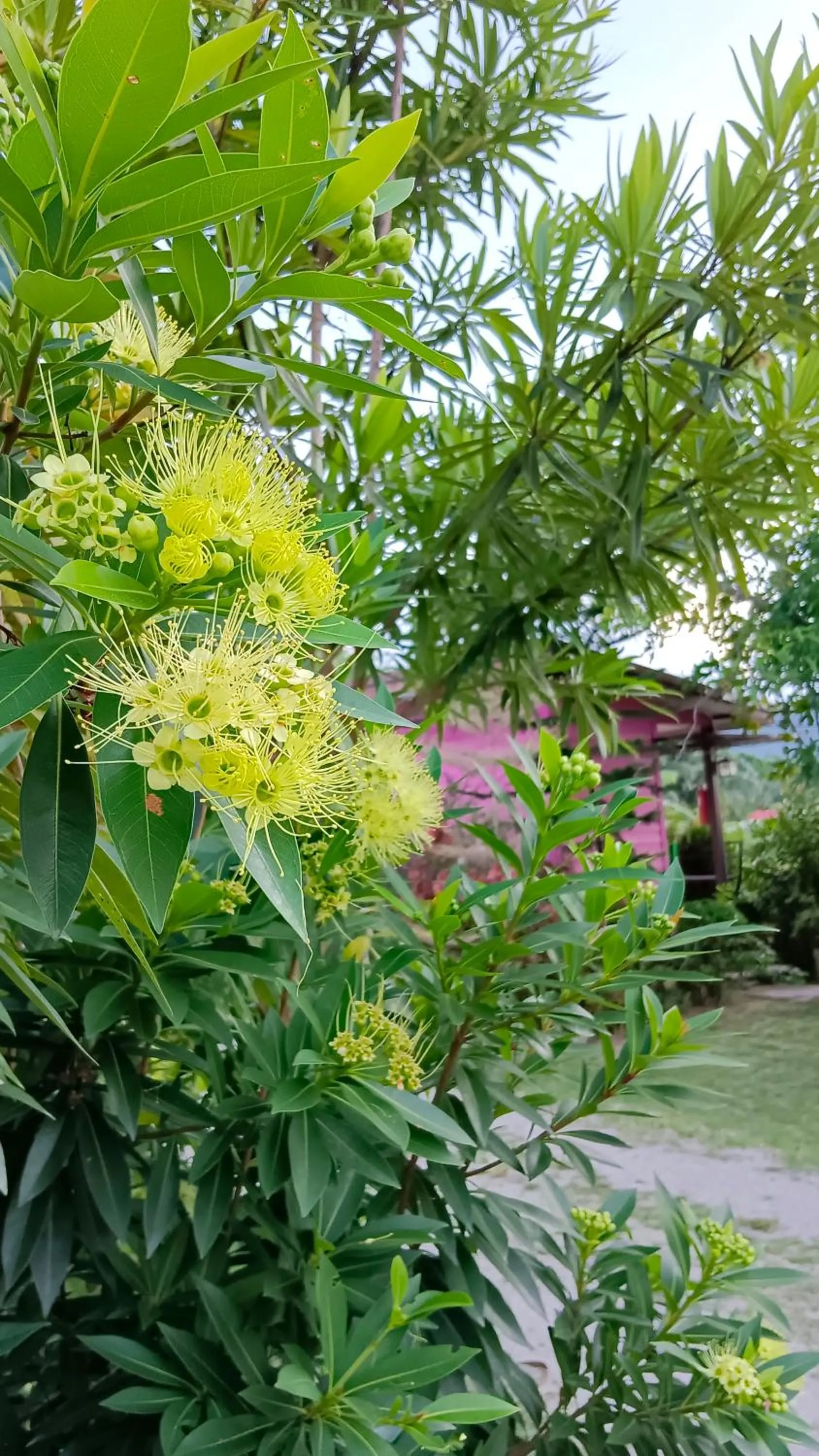 4 seasons mini house