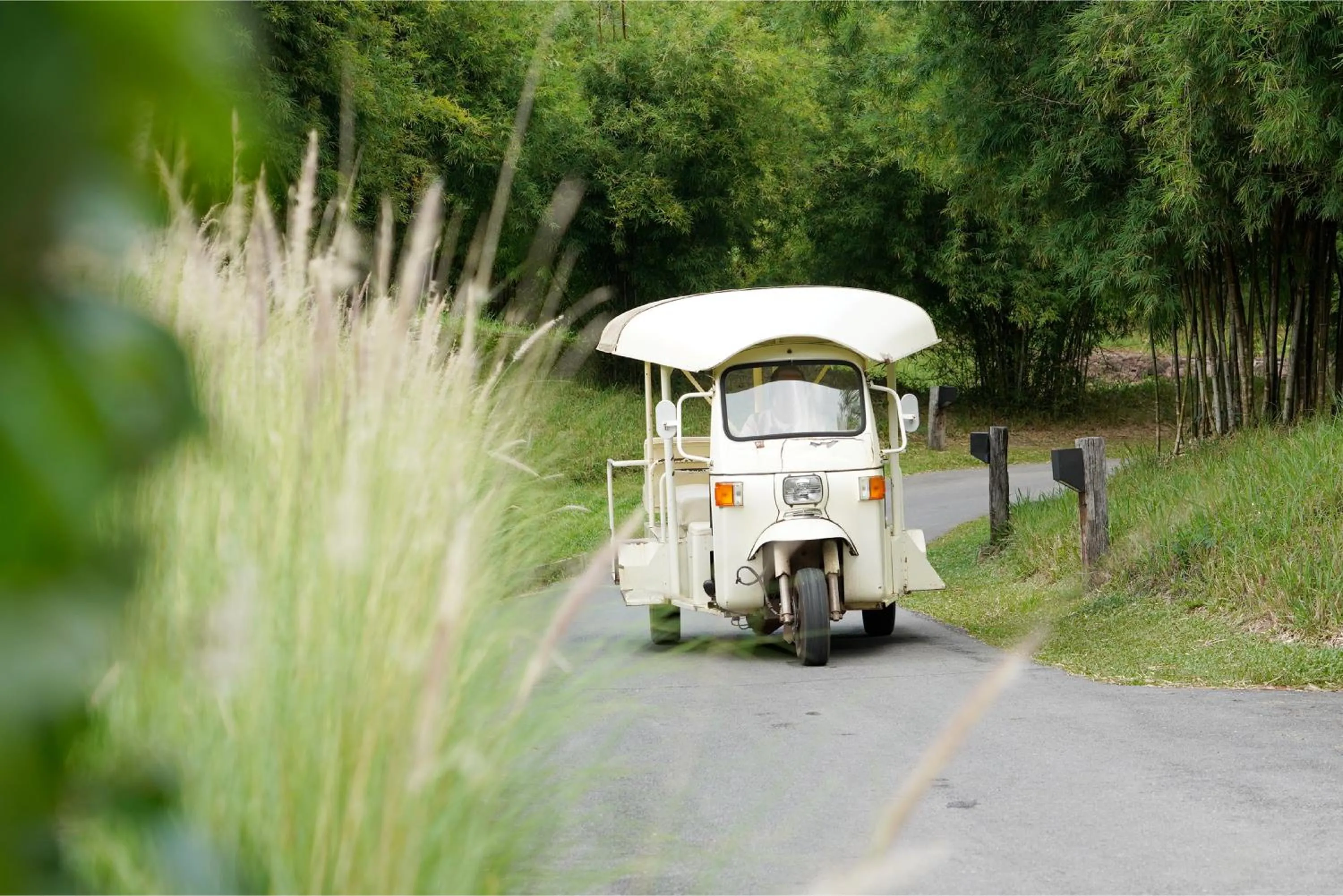 Area and facilities in MUTHI MAYA Forest Pool Villa Resort - SHA Plus Certified